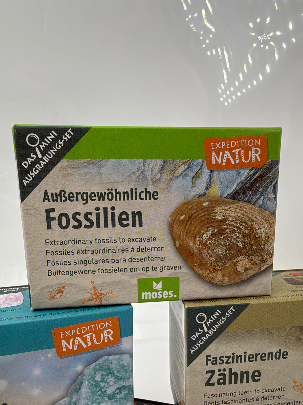 Mini-Ausgrabungsset mit Holzmeißel, Pinsel und Sammelkarte zum Entdecken von Fossilien, Mineralien und weiteren Fundstücken