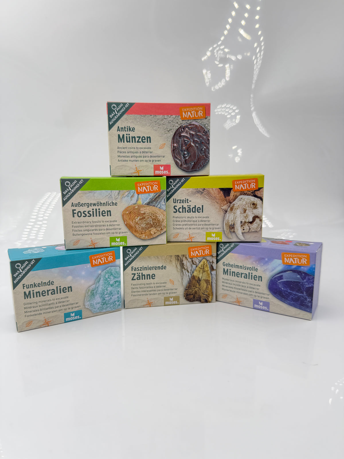 Mini-Ausgrabungsset mit Holzmeißel, Pinsel und Sammelkarte zum Entdecken von Fossilien, Mineralien und weiteren Fundstücken