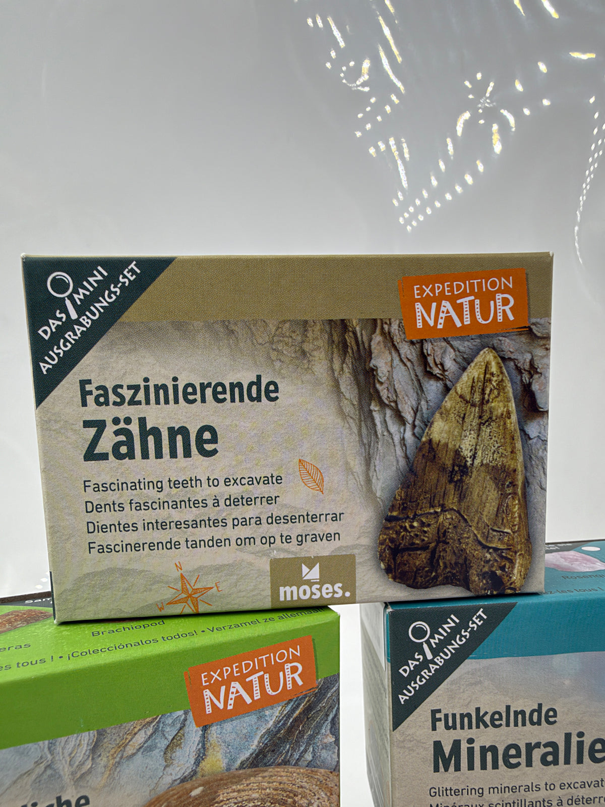 Mini-Ausgrabungsset mit Holzmeißel, Pinsel und Sammelkarte zum Entdecken von Fossilien, Mineralien und weiteren Fundstücken