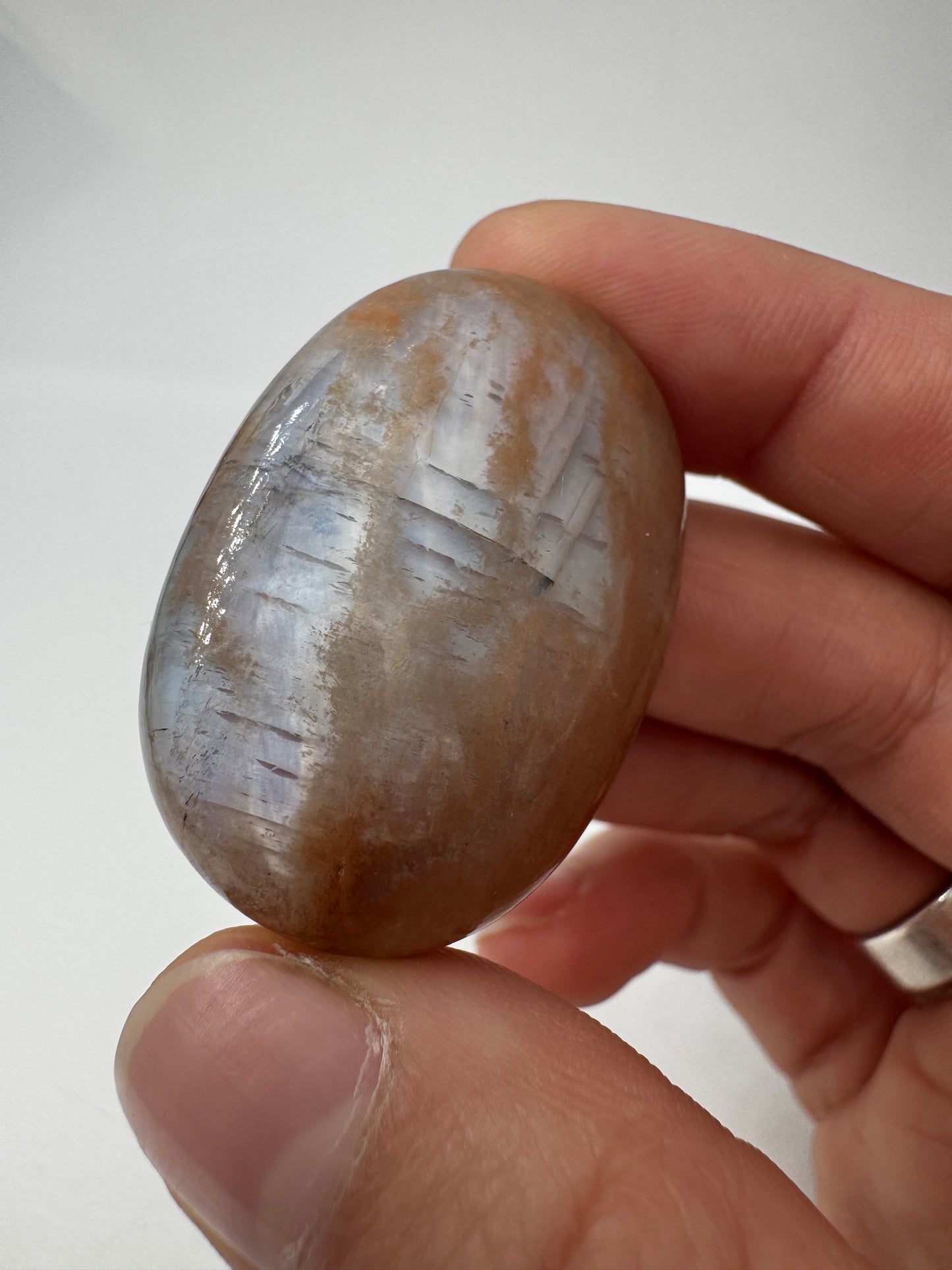 Polierter Scheibenstein aus Mondstein, 3,9 x 2,7 cm – transparentes Mineral mit sanftem blauem Adulareszenz-Schimmer auf glatter Oberfläche.