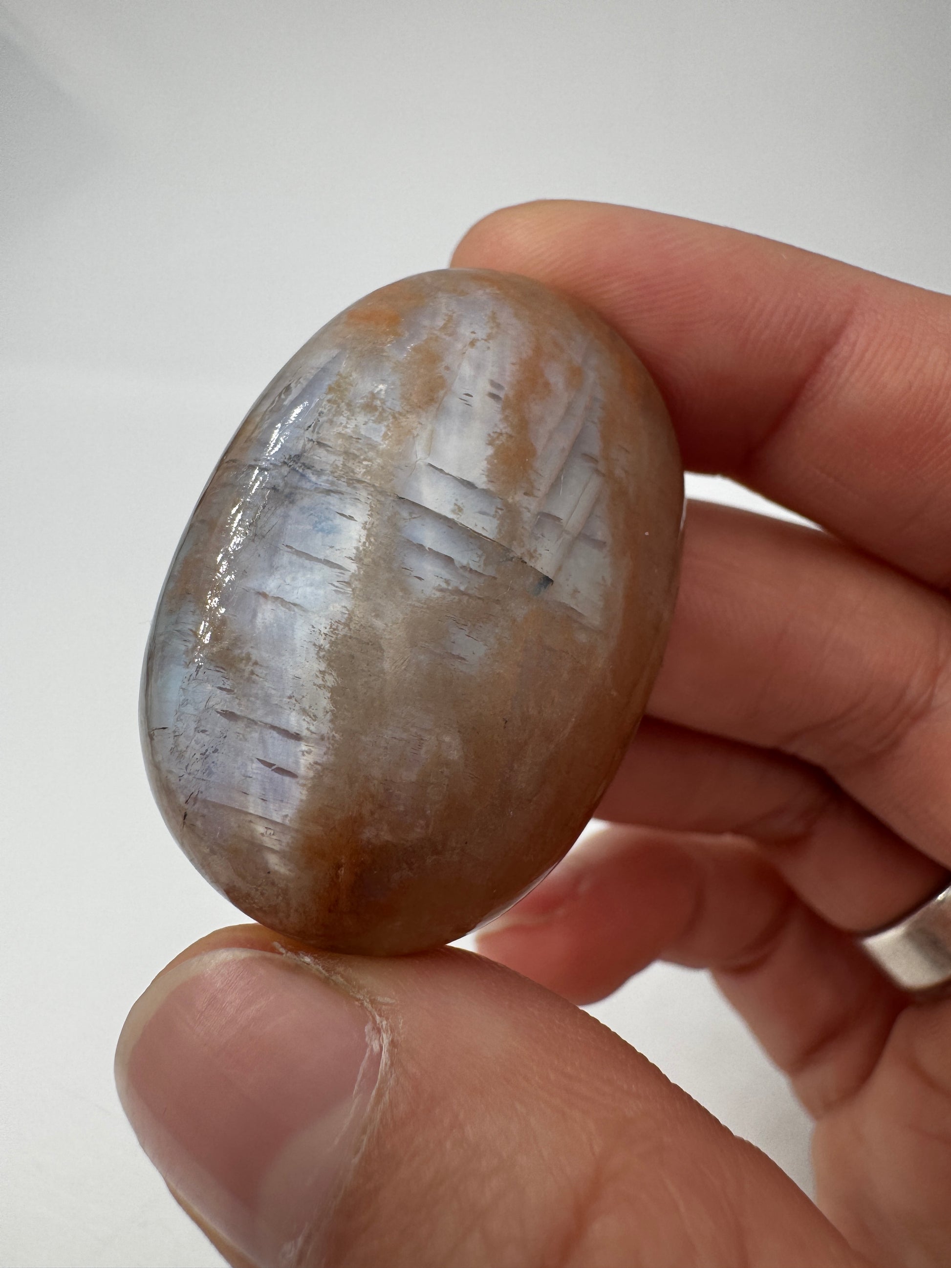 Polierter Scheibenstein aus Mondstein, 3,9 x 2,7 cm – transparentes Mineral mit sanftem blauem Adulareszenz-Schimmer auf glatter Oberfläche.