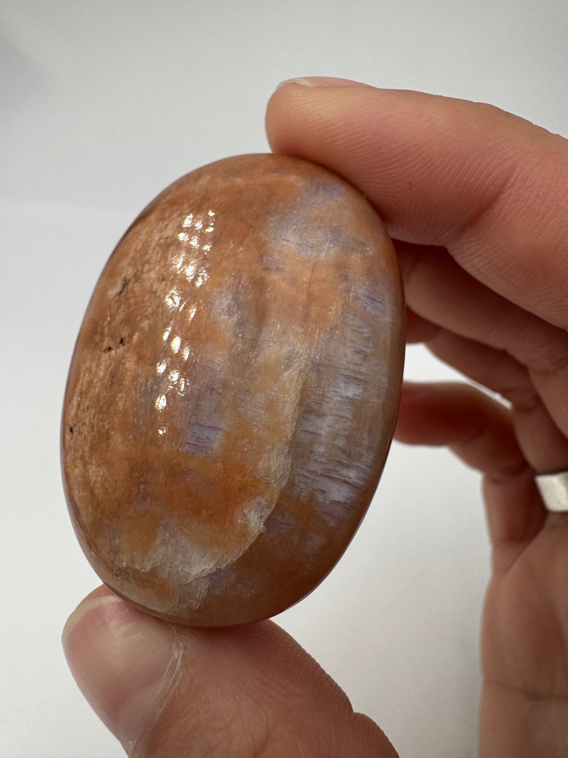 Polierter Scheibenstein aus Mondstein, 4,7 x 3,4 cm – transparentes Mineral mit sanftem blauem Adulareszenz-Schimmer auf glatter Oberfläche.