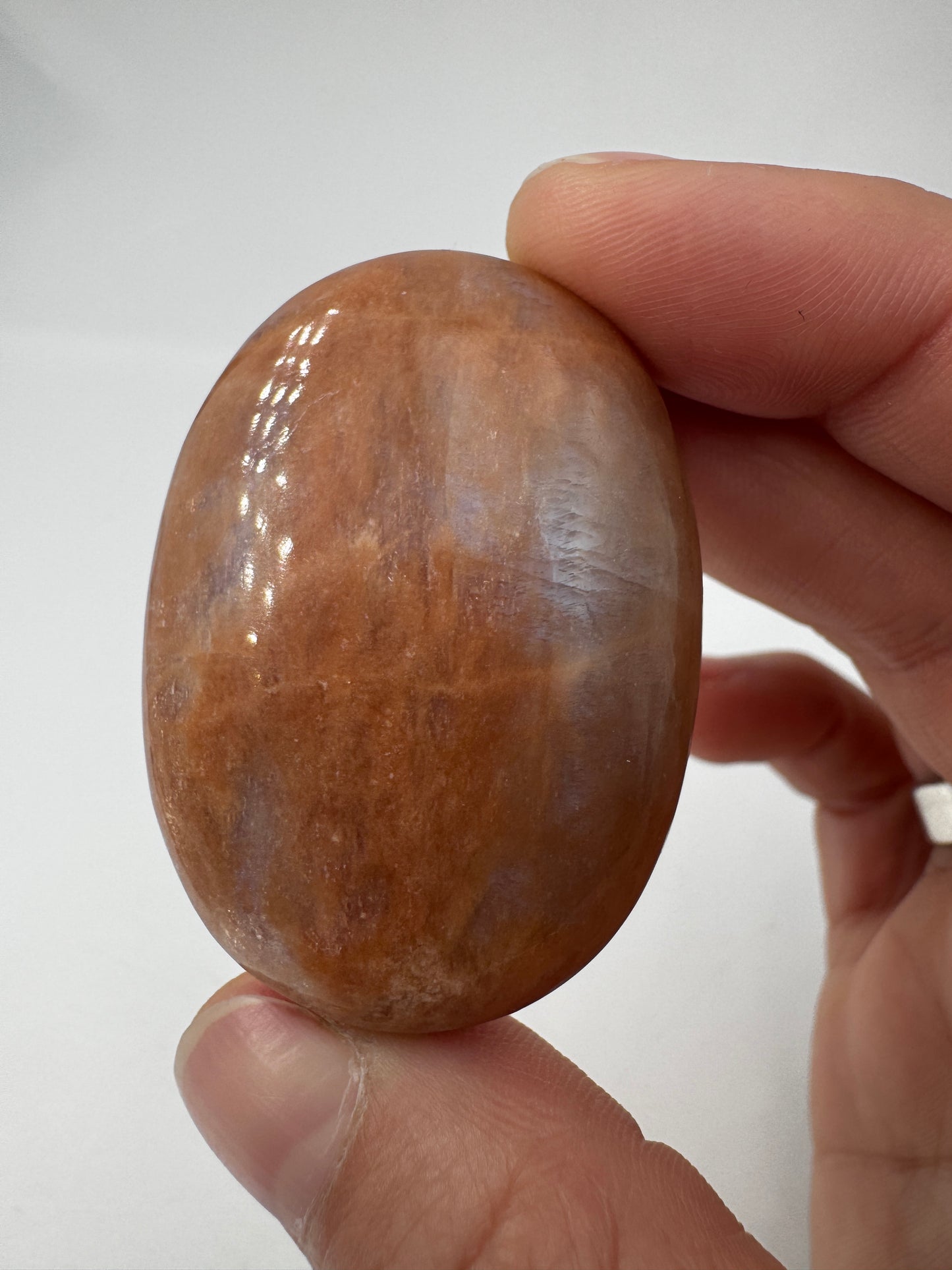Polierter Scheibenstein aus Mondstein, 4,7 x 3,4 cm – transparentes Mineral mit sanftem blauem Adulareszenz-Schimmer auf glatter Oberfläche.