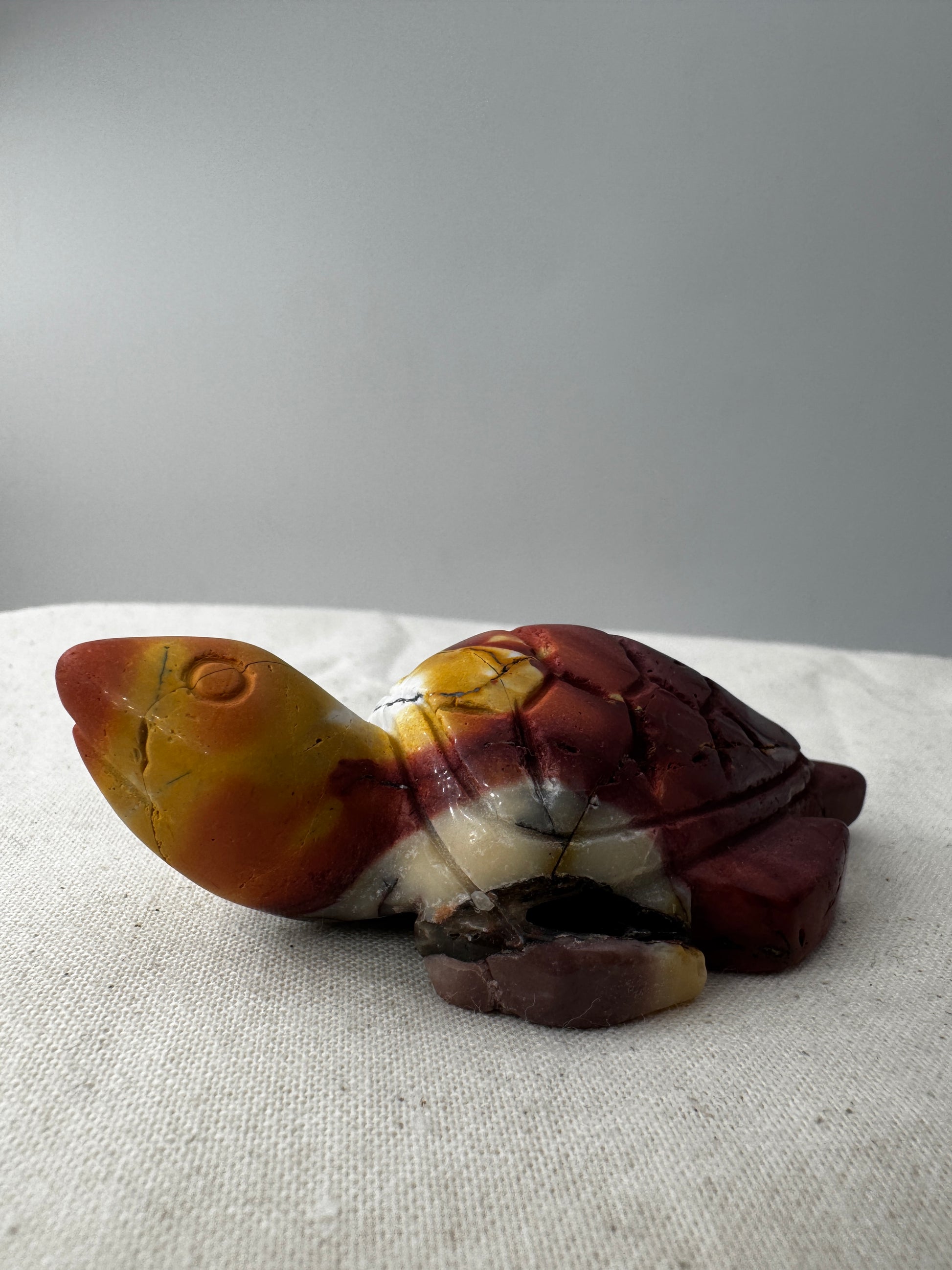 Eine handgeschliffene Schildkröte aus Mookait mit einem kontrastreichen Muster aus gelben und roten Farbfeldern.