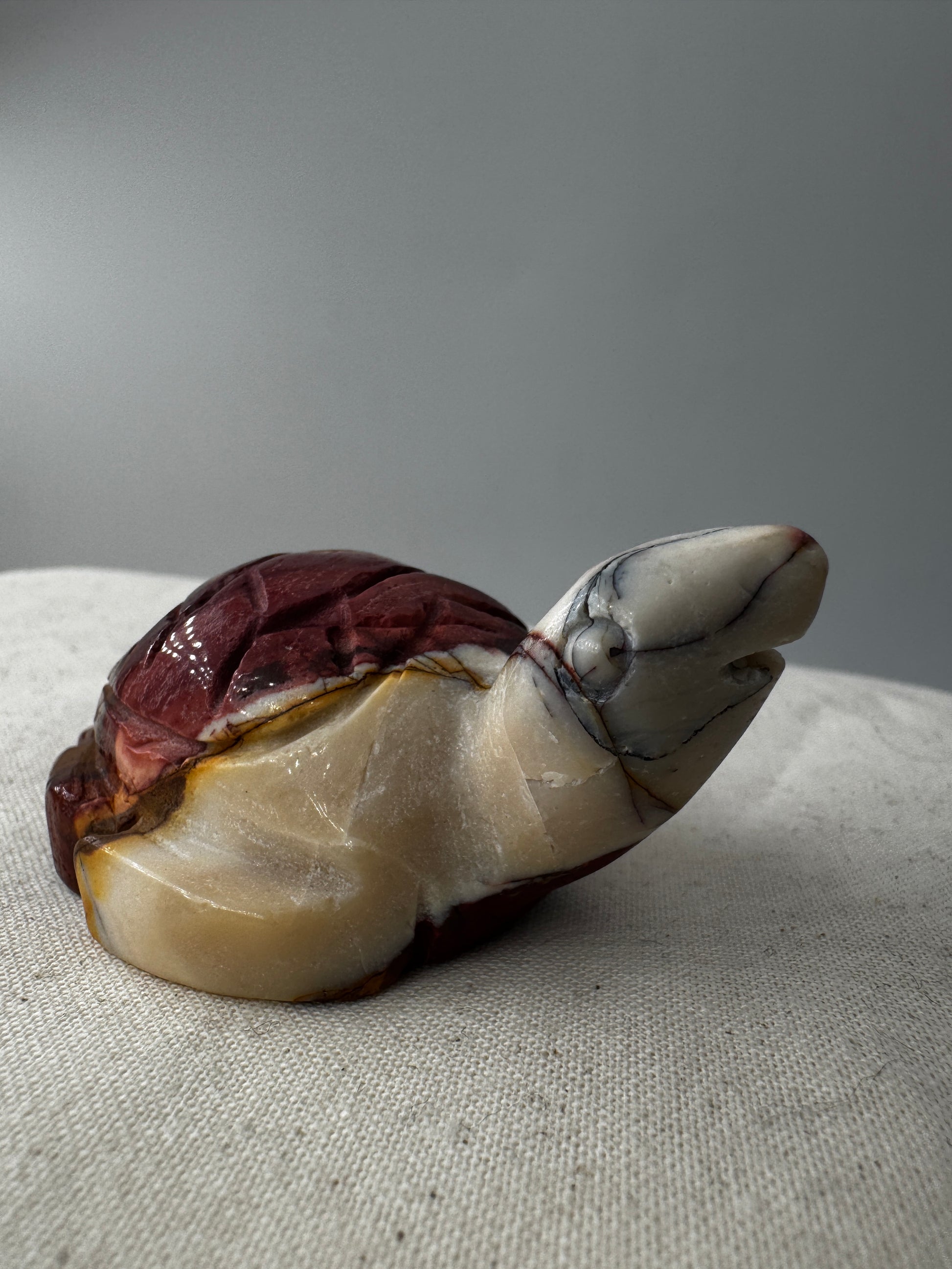 Eine handgeschliffene Schildkröte aus Mookait mit einem kontrastreichen Muster aus gelben und roten Farbfeldern.