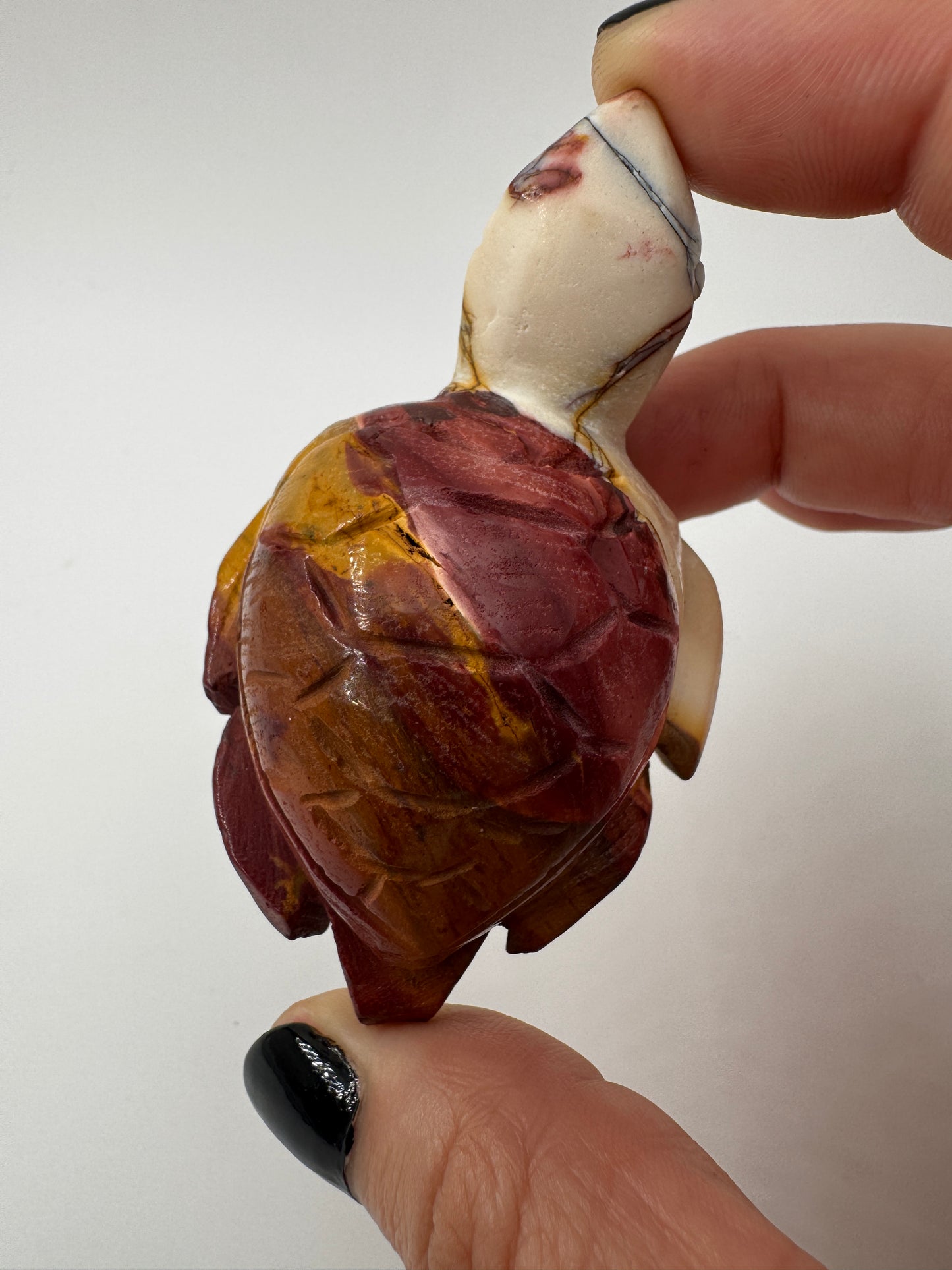 Eine handgeschliffene Schildkröte aus Mookait mit einem kontrastreichen Muster aus gelben und roten Farbfeldern.