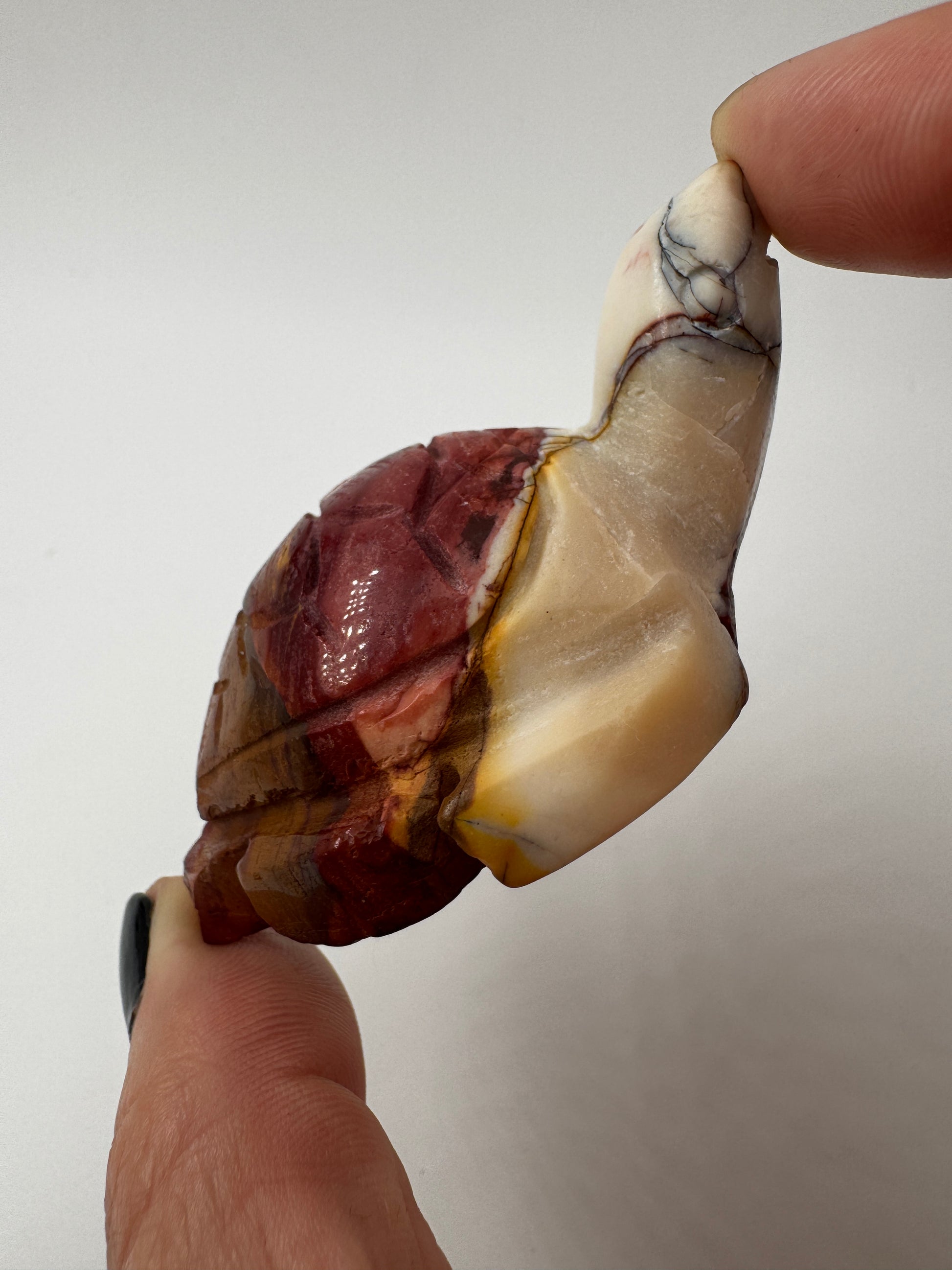 Eine handgeschliffene Schildkröte aus Mookait mit einem kontrastreichen Muster aus gelben und roten Farbfeldern.