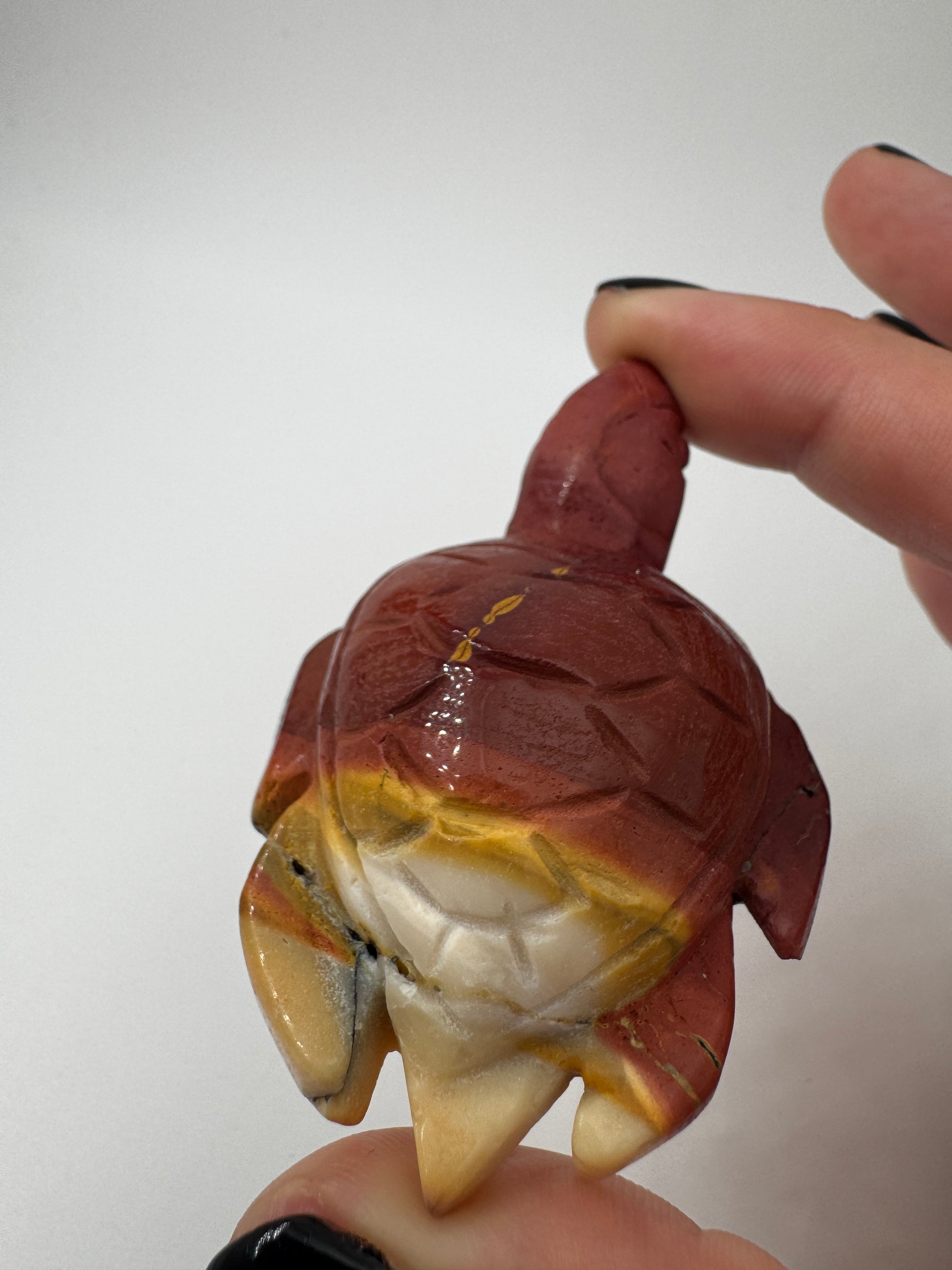 Eine handgeschliffene Schildkröte aus Mookait mit einem kontrastreichen Muster aus gelben und roten Farbfeldern.