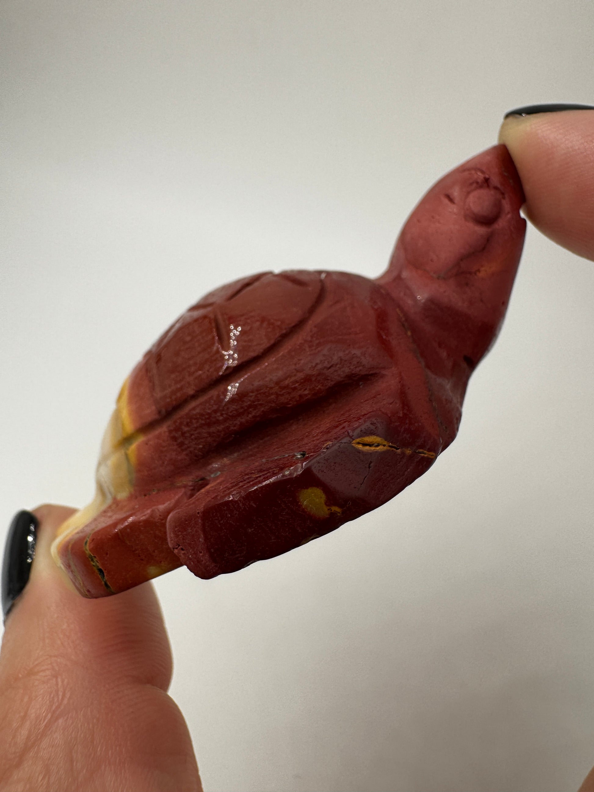 Eine handgeschliffene Schildkröte aus Mookait mit einem kontrastreichen Muster aus gelben und roten Farbfeldern.