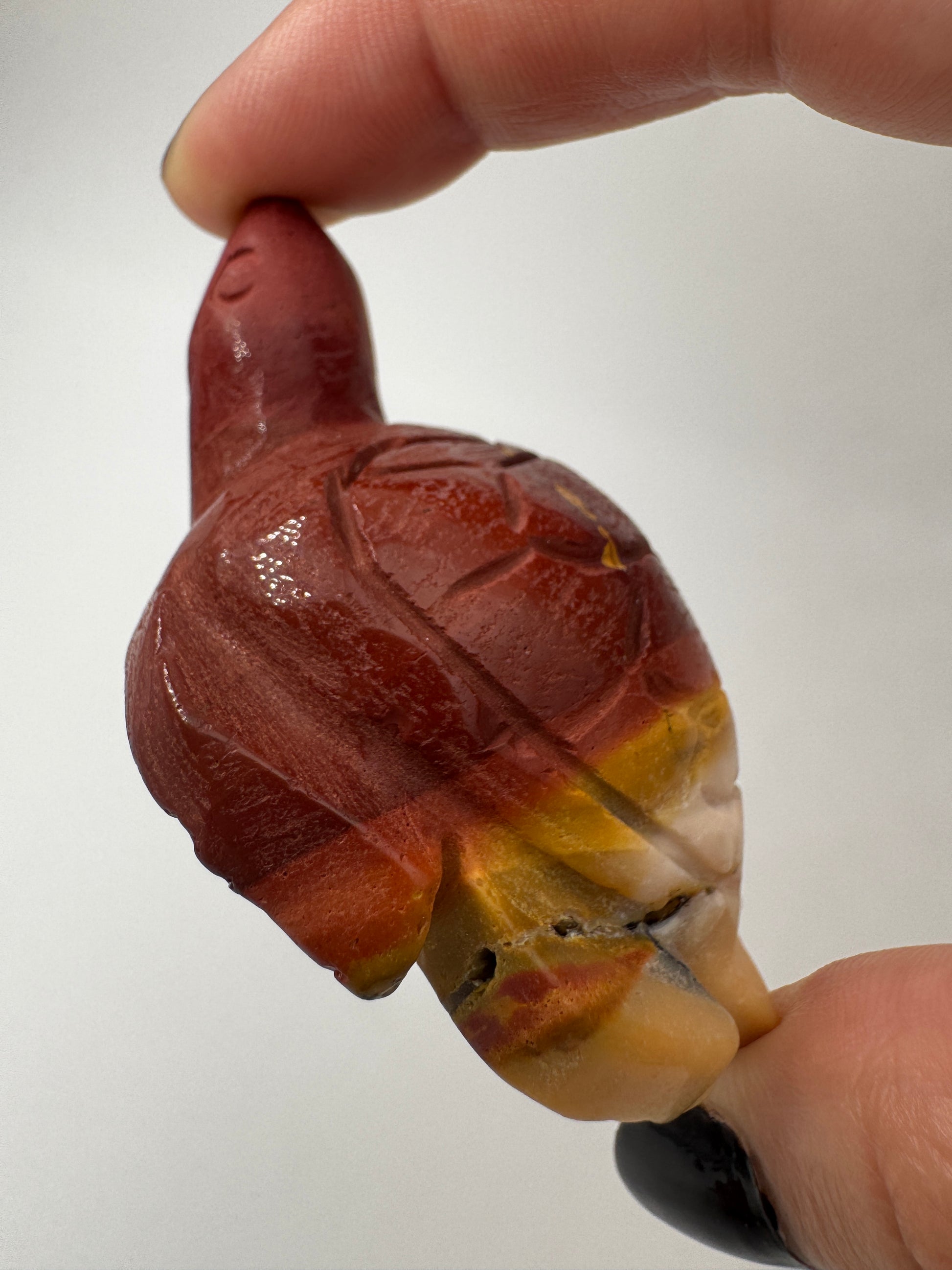 Eine handgeschliffene Schildkröte aus Mookait mit einem kontrastreichen Muster aus gelben und roten Farbfeldern.