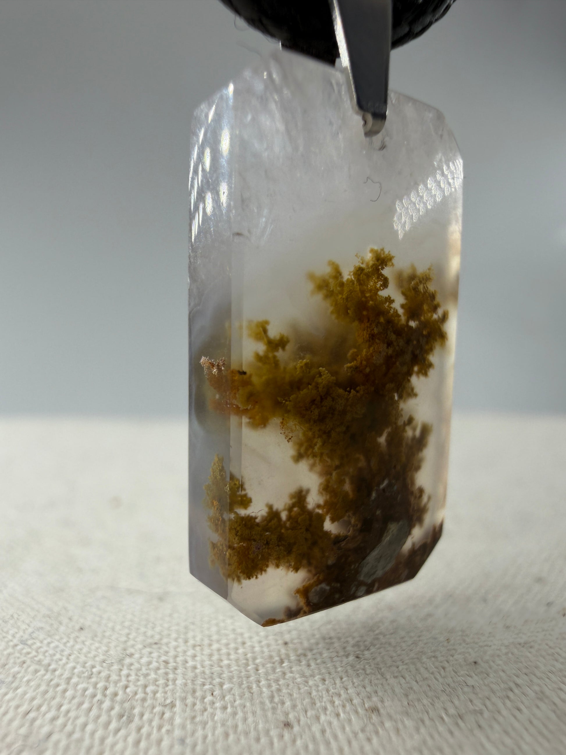 Moosachat Anhänger SN24 – olivbraune dendritische Einschlüsse in transluzenter Chalcedon-Grundmasse, Edelstahlclip