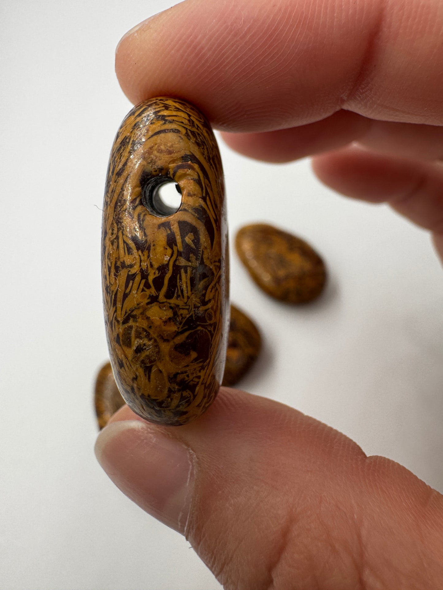 Muschelkalk-Anhänger (Schlangenjaspis), 3,2 cm, tropfenförmig & gebohrt – polierter Kalkstein mit charakteristischem Muster aus fossilen Mikroorganismen-Einschlüssen aus dem Trias.