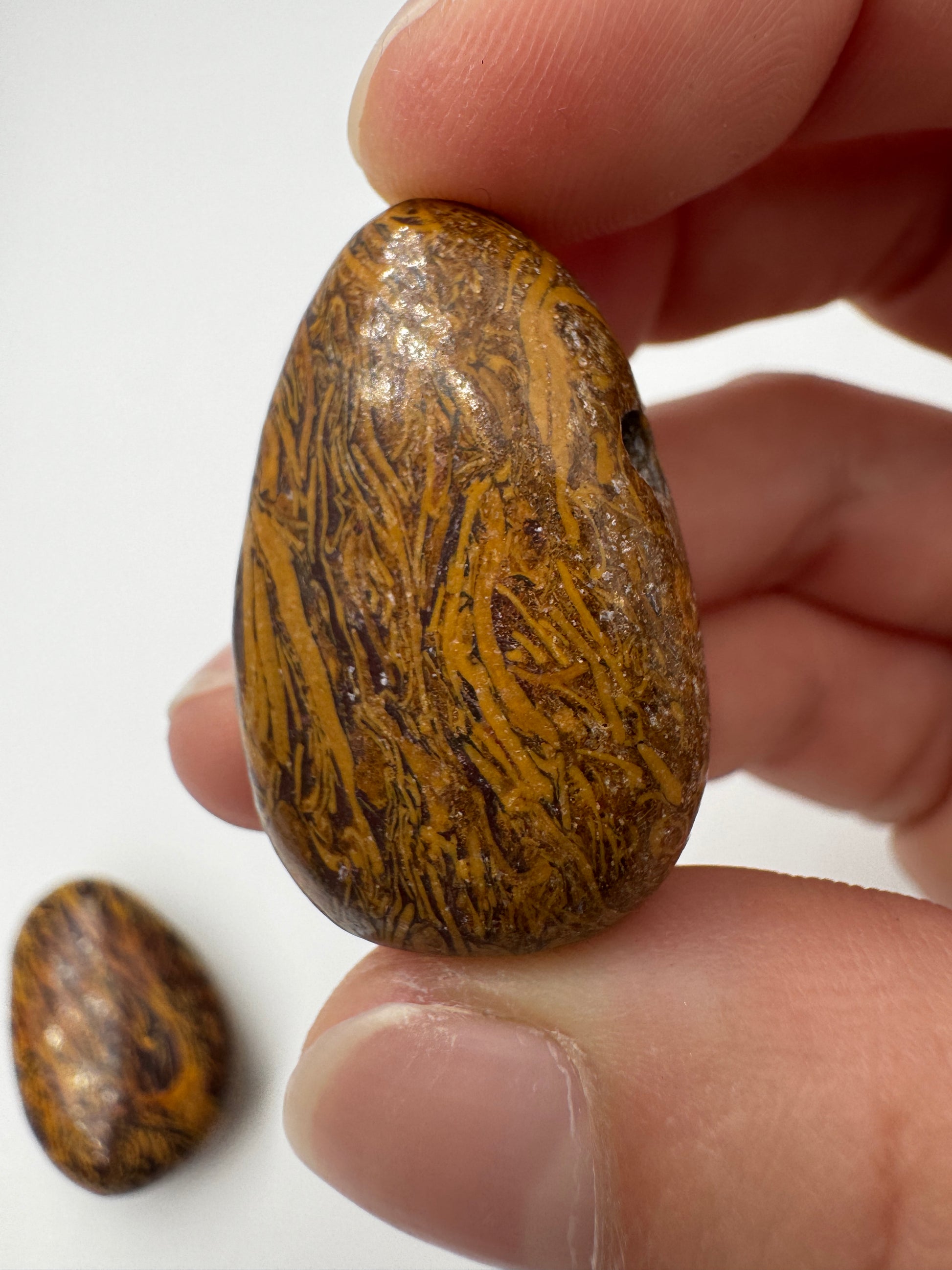 Muschelkalk-Anhänger (Schlangenjaspis), 3,2 cm, tropfenförmig & gebohrt – polierter Kalkstein mit charakteristischem Muster aus fossilen Mikroorganismen-Einschlüssen aus dem Trias.