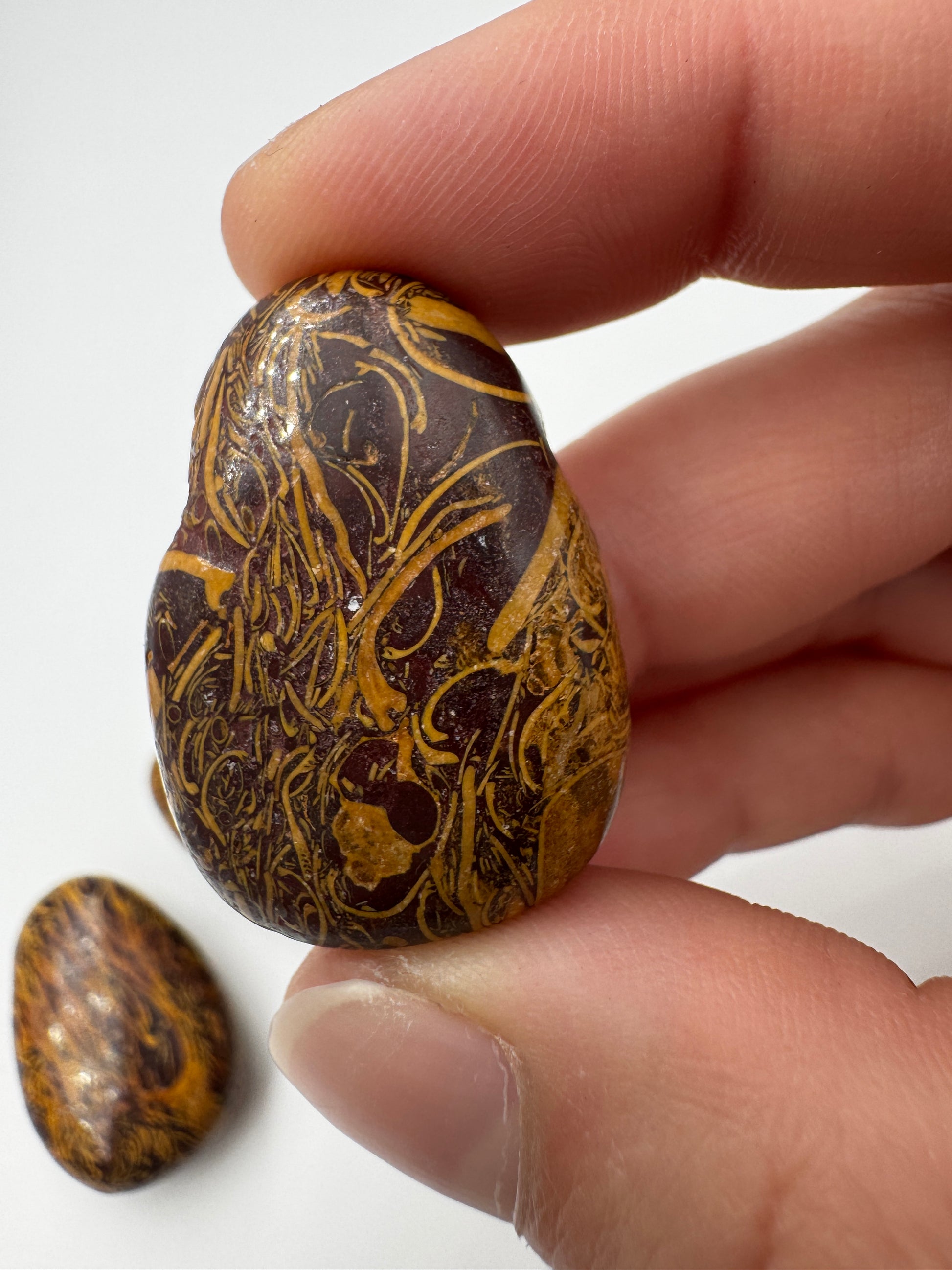 Muschelkalk-Anhänger (Schlangenjaspis), 3,2 cm, tropfenförmig & gebohrt – polierter Kalkstein mit charakteristischem Muster aus fossilen Mikroorganismen-Einschlüssen aus dem Trias.