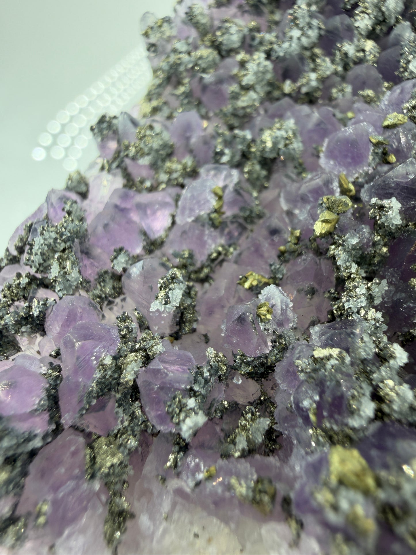 Amethyst mit Pyrit, tief-violette Kristallspitzen mit metallisch schimmerndem Pyrit und Quarz, aus der Davidkovo Mine in Bulgarien.