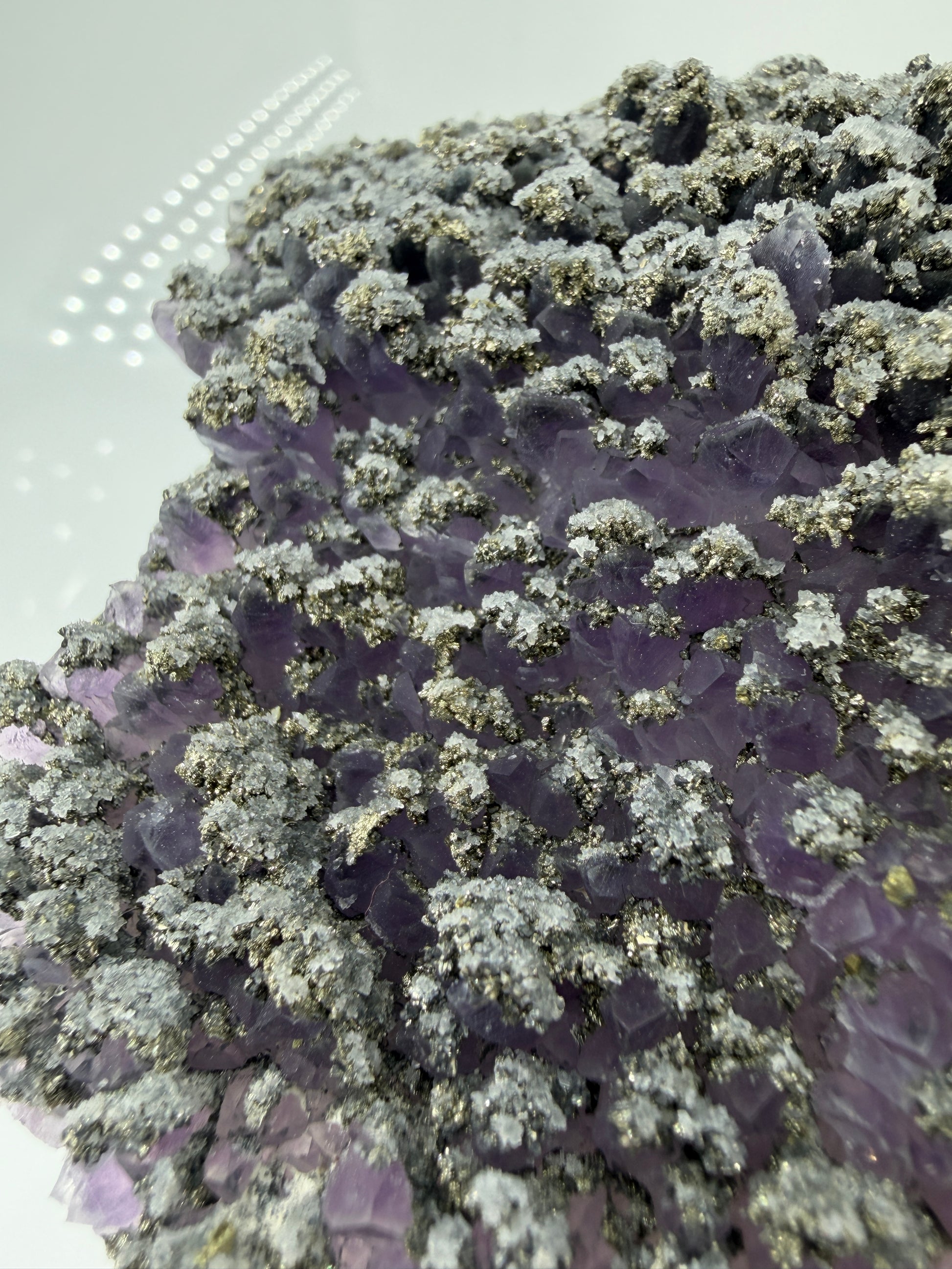 Amethyst mit Pyrit, tief-violette Kristallspitzen mit metallisch schimmerndem Pyrit und Quarz, aus der Davidkovo Mine in Bulgarien.