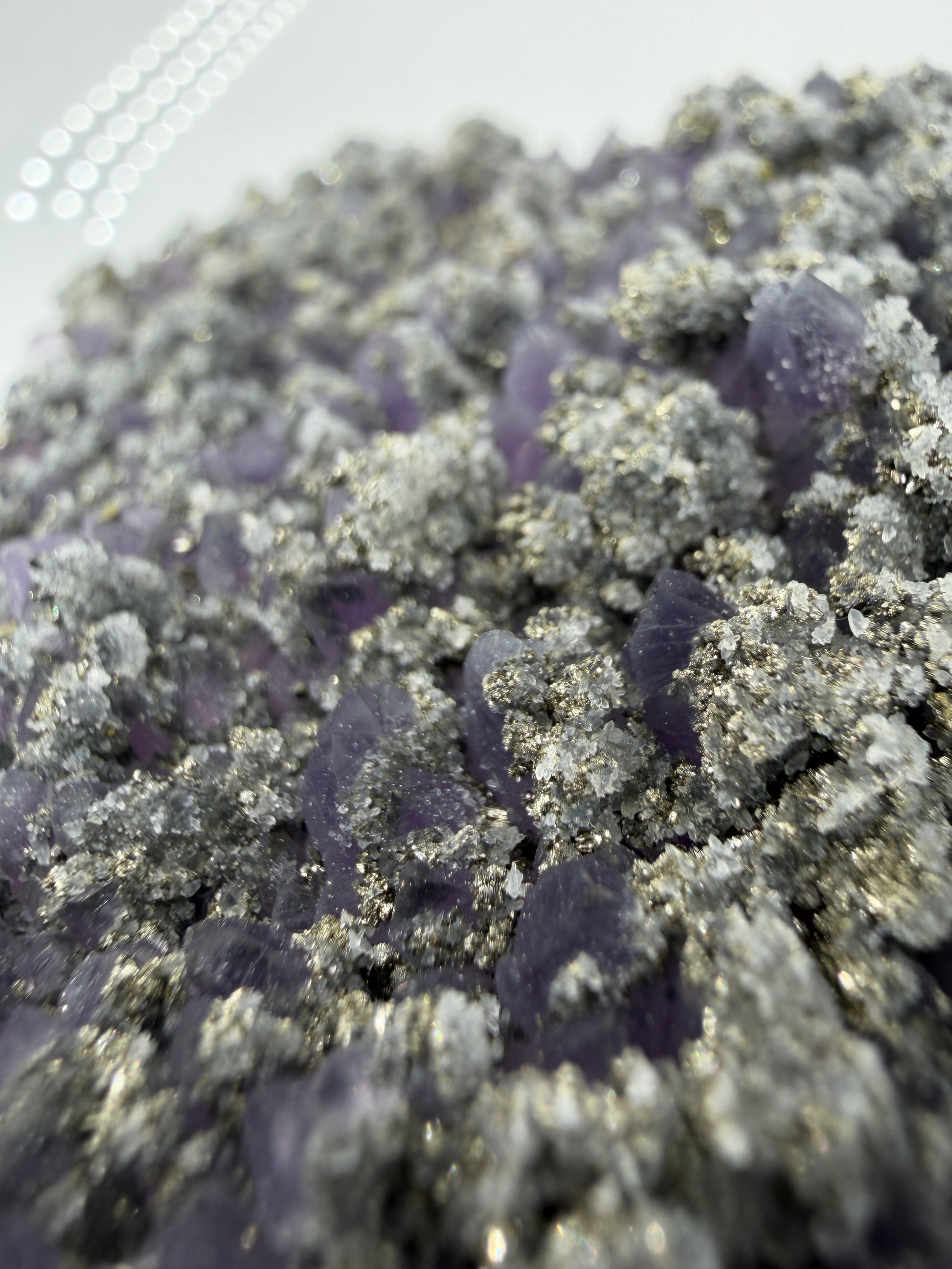 Amethyst mit Pyrit, tief-violette Kristallspitzen mit metallisch schimmerndem Pyrit und Quarz, aus der Davidkovo Mine in Bulgarien.