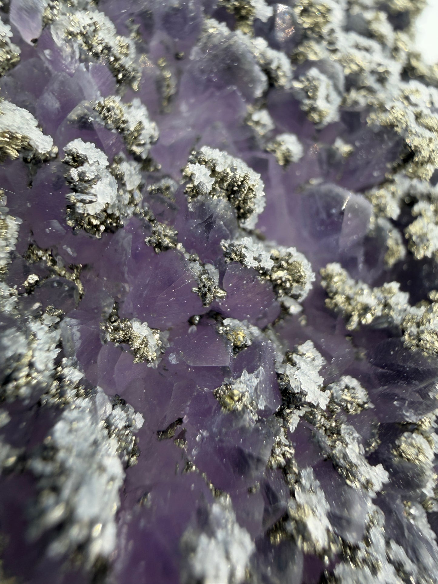 Amethyst mit Pyrit, tief-violette Kristallspitzen mit metallisch schimmerndem Pyrit und Quarz, aus der Davidkovo Mine in Bulgarien.