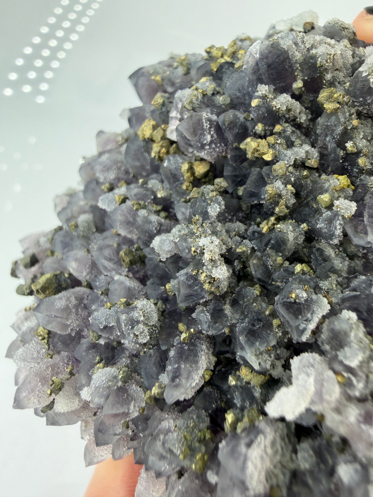 Amethyst-Druse mit aufgewachsenem Pyrit und Quarz, trimineralische Paragenese aus der Davidkovo Mine in Bulgarien.