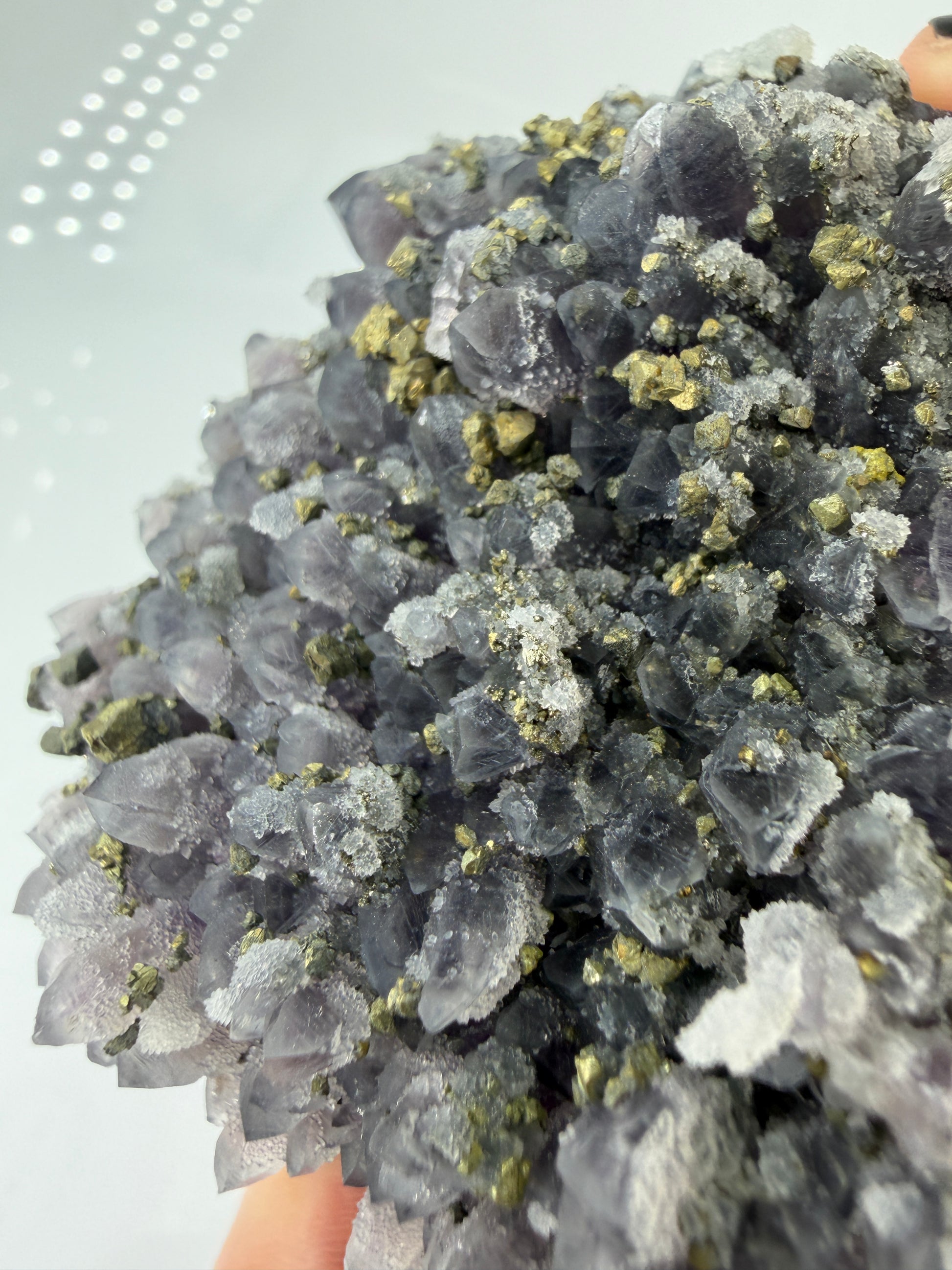 Amethyst-Druse mit aufgewachsenem Pyrit und Quarz, trimineralische Paragenese aus der Davidkovo Mine in Bulgarien.