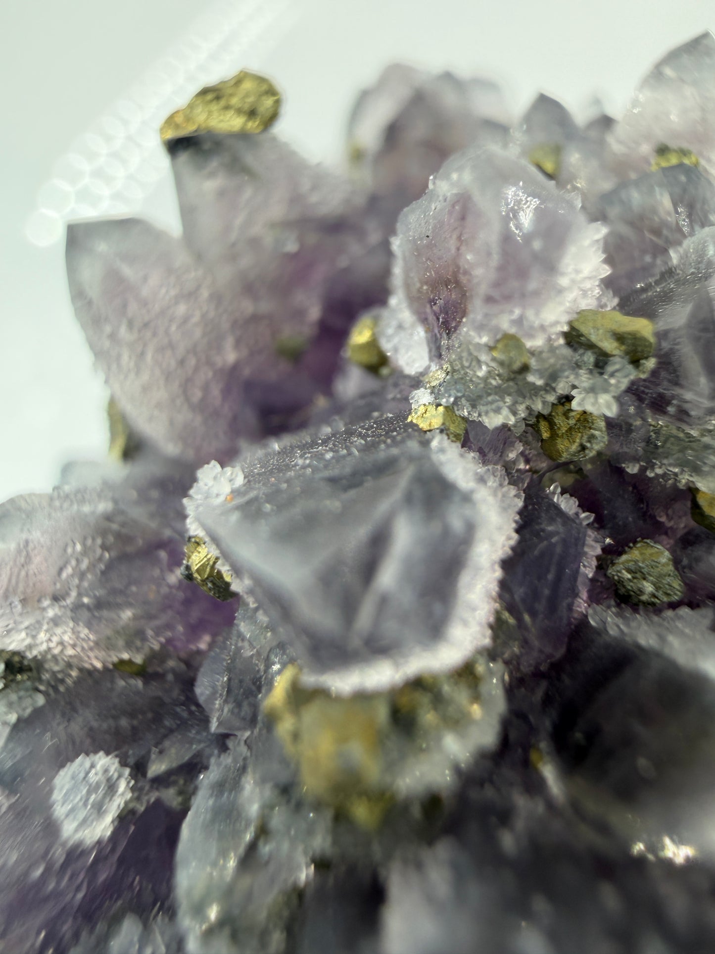 Amethyst-Druse mit aufgewachsenem Pyrit und Quarz, trimineralische Paragenese aus der Davidkovo Mine in Bulgarien.