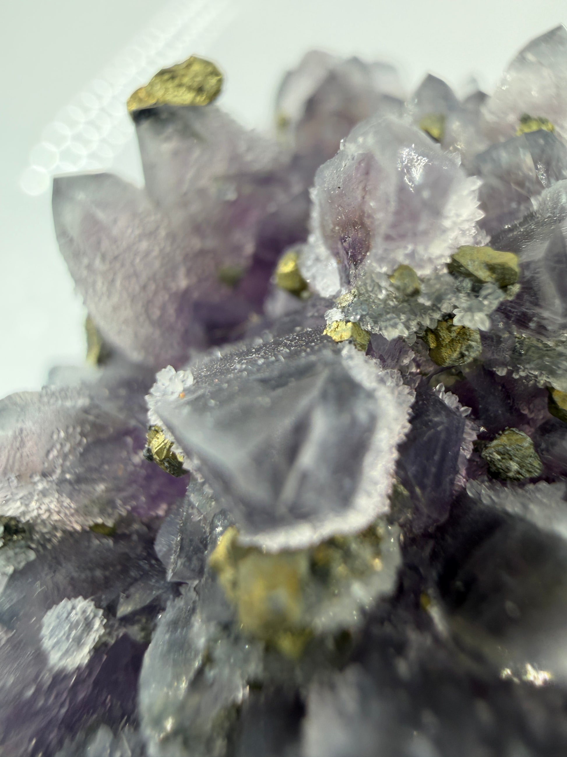 Amethyst-Druse mit aufgewachsenem Pyrit und Quarz, trimineralische Paragenese aus der Davidkovo Mine in Bulgarien.