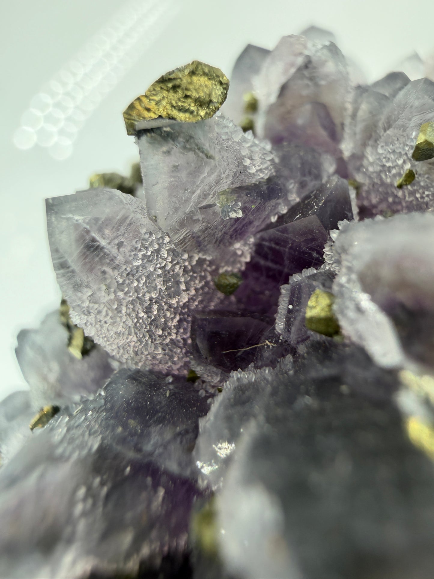 Amethyst-Druse mit aufgewachsenem Pyrit und Quarz, trimineralische Paragenese aus der Davidkovo Mine in Bulgarien.