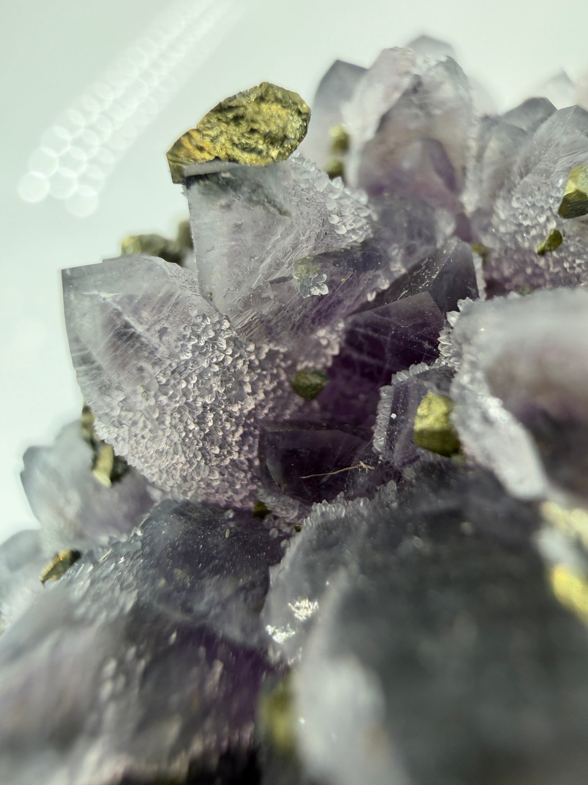 Amethyst-Druse mit aufgewachsenem Pyrit und Quarz, trimineralische Paragenese aus der Davidkovo Mine in Bulgarien.