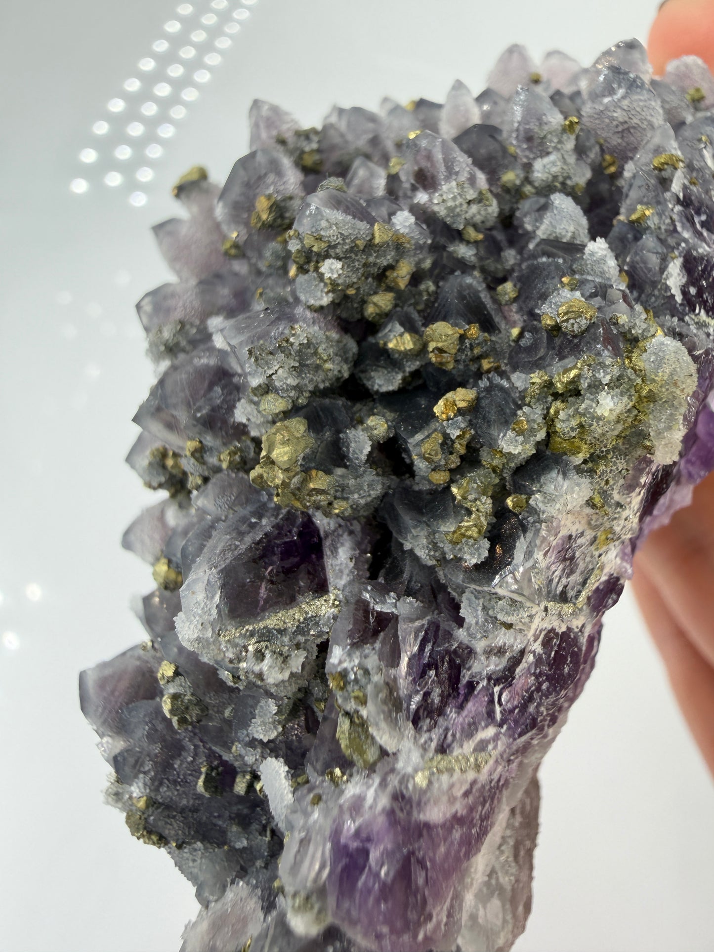 Amethyst-Druse mit aufgewachsenem Pyrit und Quarz, trimineralische Paragenese aus der Davidkovo Mine in Bulgarien.