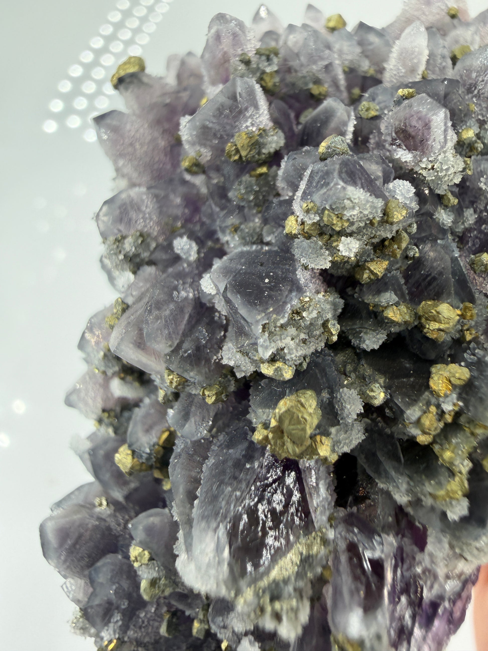 Amethyst-Druse mit aufgewachsenem Pyrit und Quarz, trimineralische Paragenese aus der Davidkovo Mine in Bulgarien.