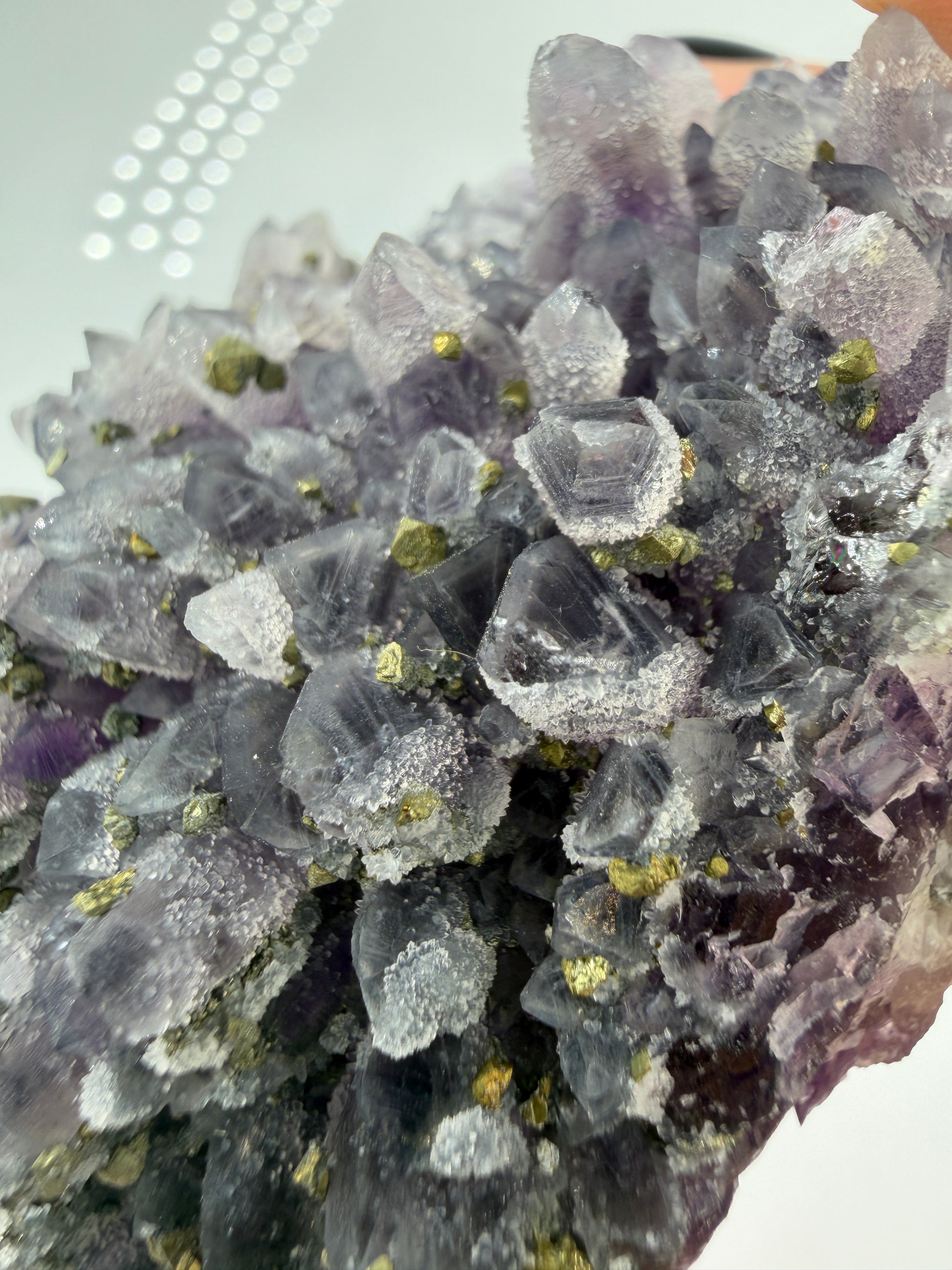 Amethyst-Druse mit aufgewachsenem Pyrit und Quarz, trimineralische Paragenese aus der Davidkovo Mine in Bulgarien.