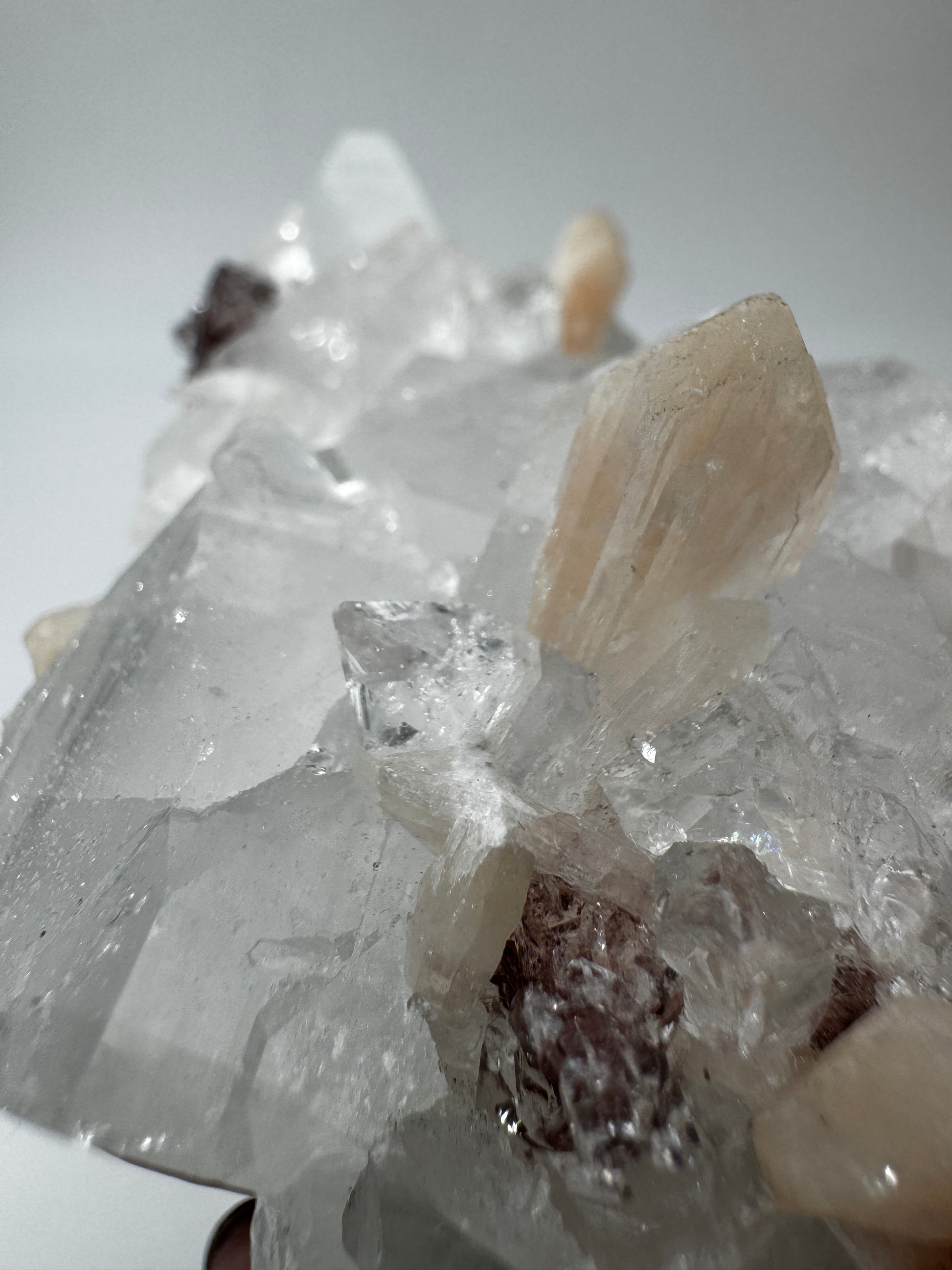 Apophyllit AR51 aus Indien mit glasklaren tetragonalen Prismen und Stilbit-Aufwuchs.
