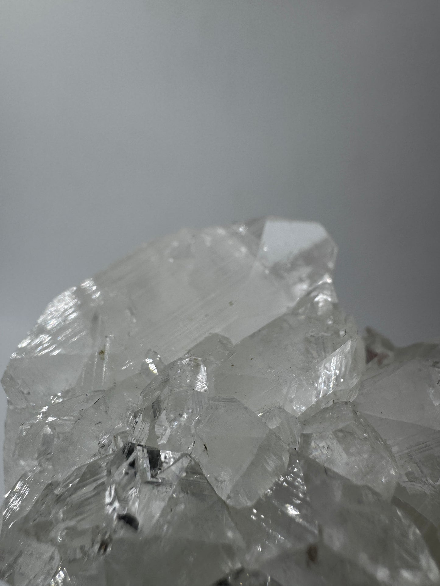 Apophyllit AR66 aus Indien mit glasklaren tetragonalen Prismen und Perlmuttglanz.