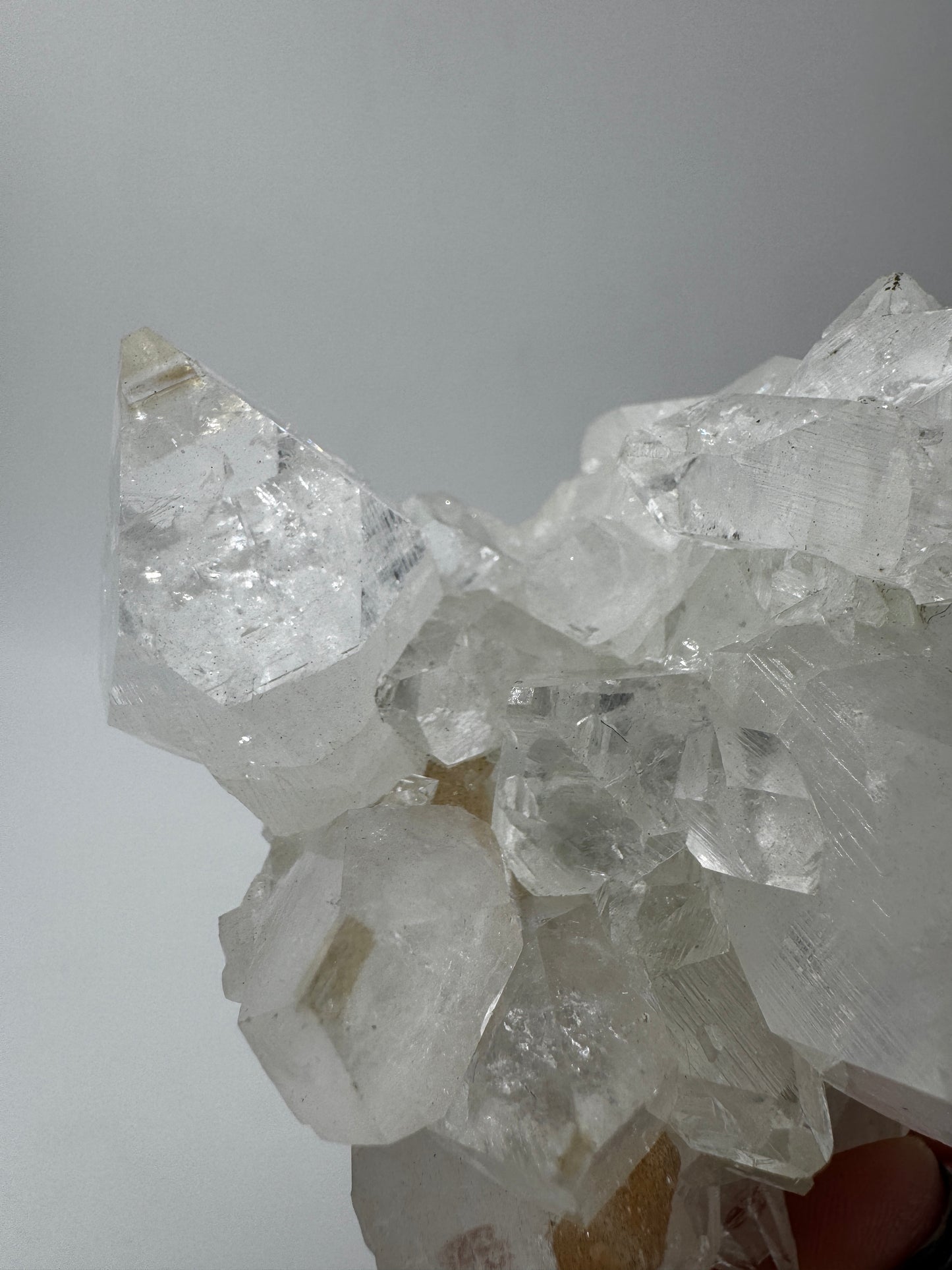 Apophyllit AR66 aus Indien mit glasklaren tetragonalen Prismen und Perlmuttglanz.