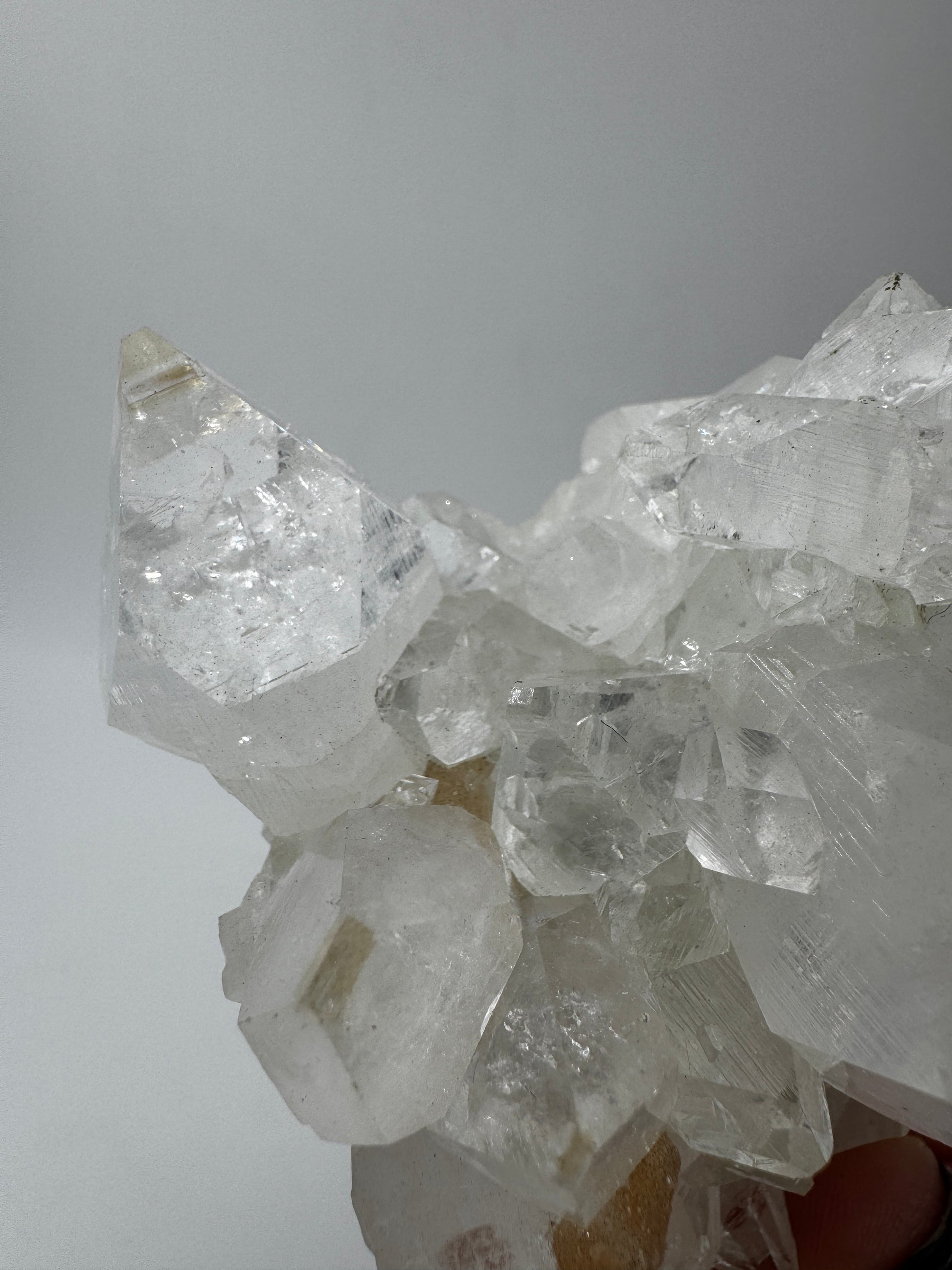 Apophyllit AR66 aus Indien mit glasklaren tetragonalen Prismen und Perlmuttglanz.