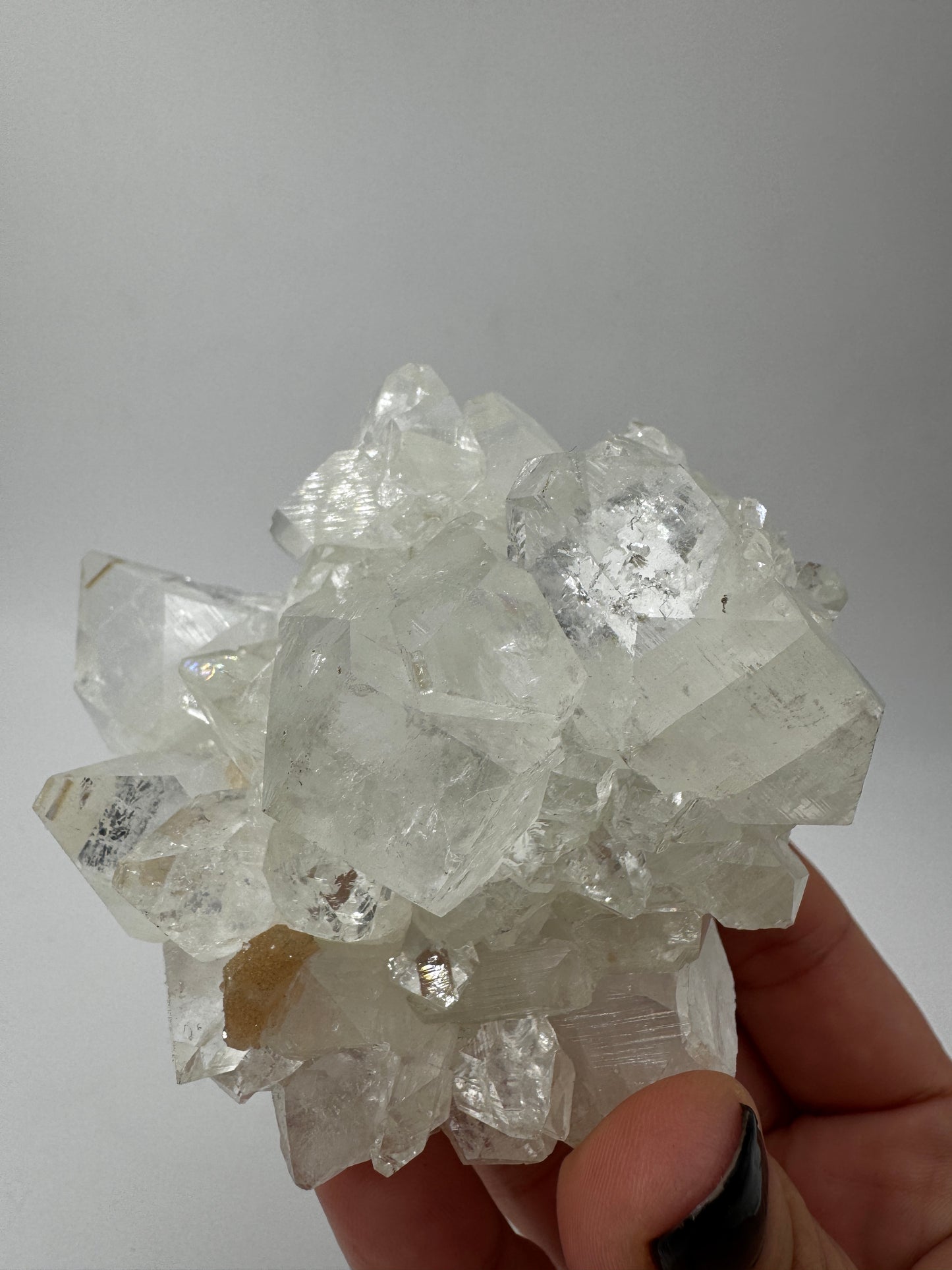Apophyllit AR66 aus Indien mit glasklaren tetragonalen Prismen und Perlmuttglanz.