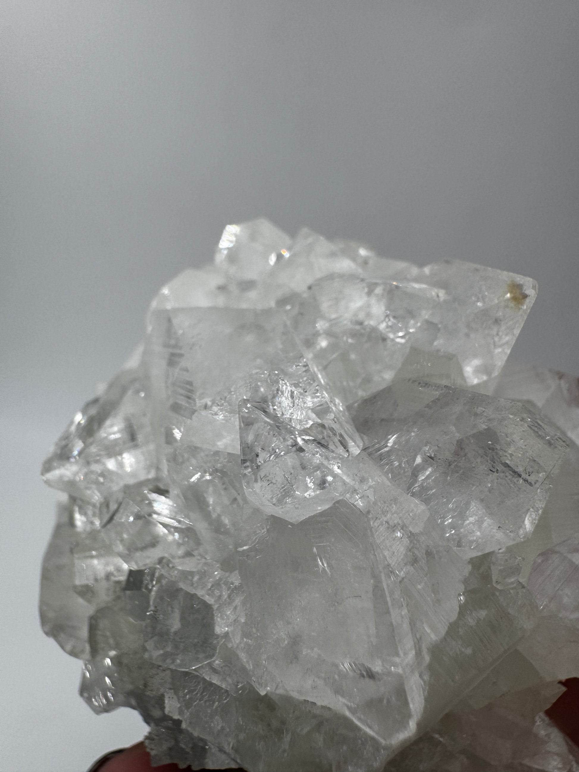 Apophyllit AR66 aus Indien mit glasklaren tetragonalen Prismen und Perlmuttglanz.