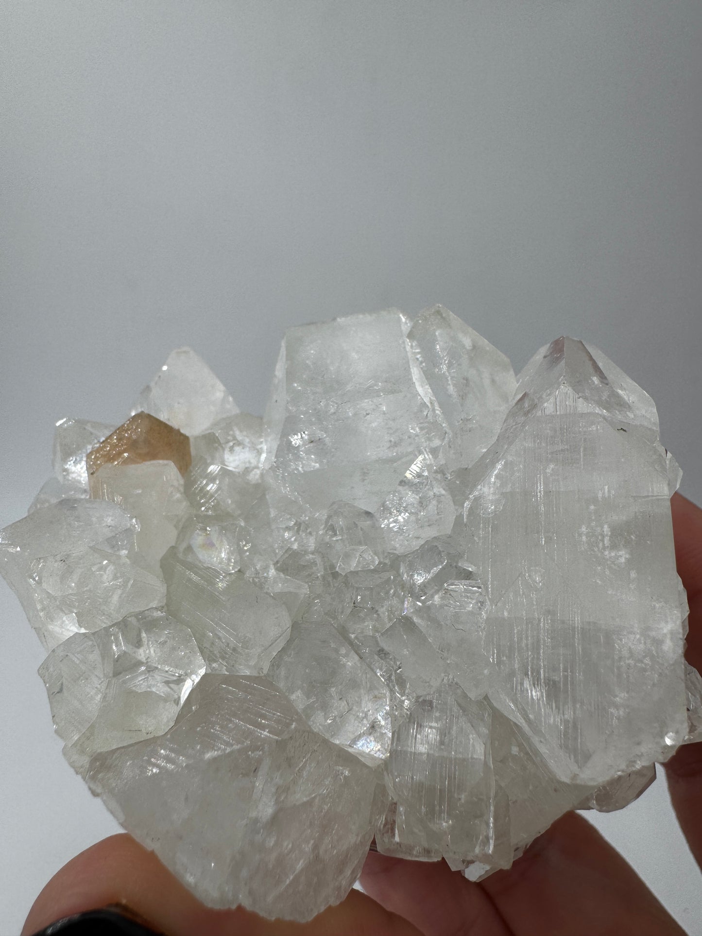 Apophyllit AR66 aus Indien mit glasklaren tetragonalen Prismen und Perlmuttglanz.