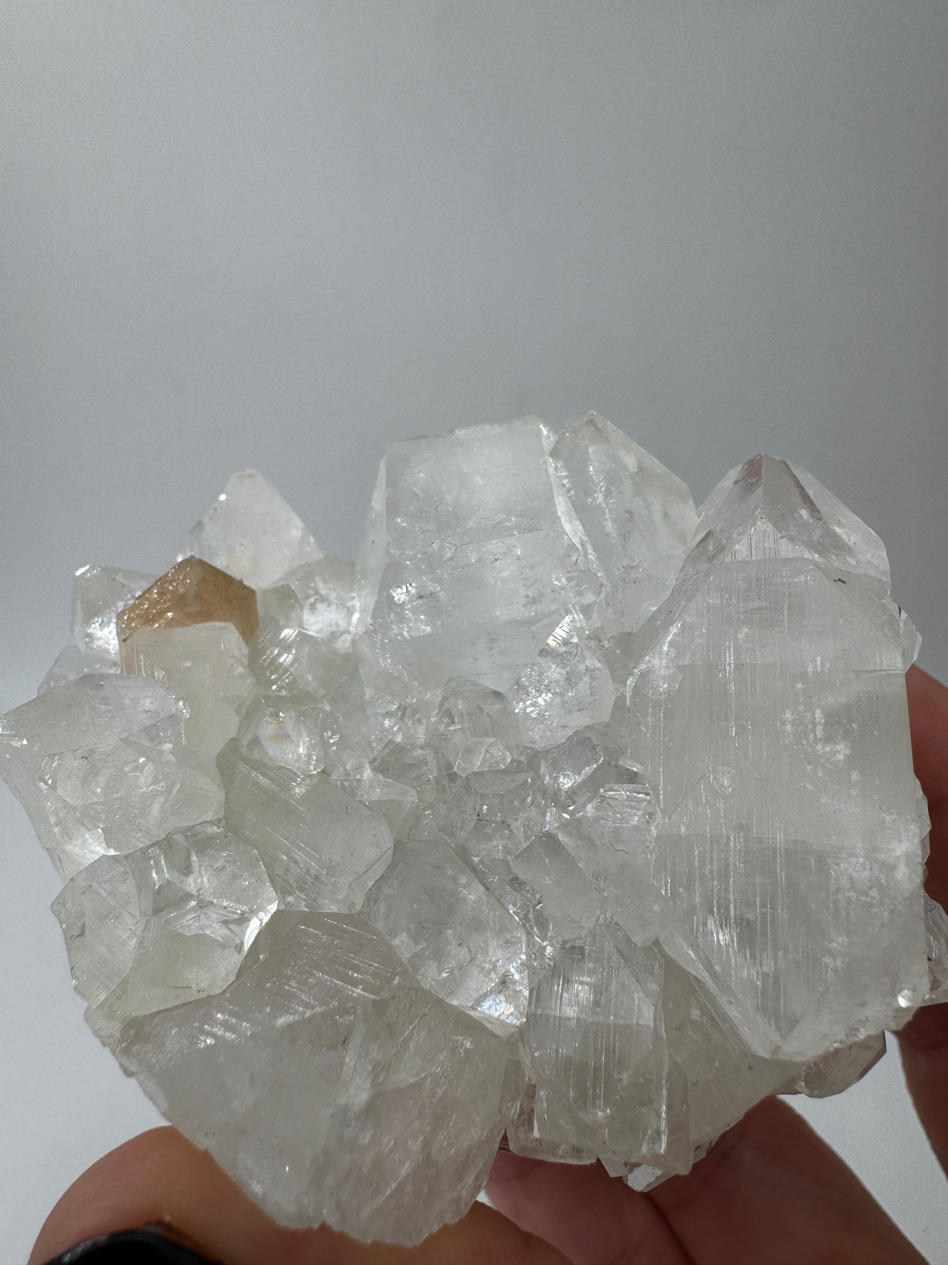 Apophyllit AR66 aus Indien mit glasklaren tetragonalen Prismen und Perlmuttglanz.