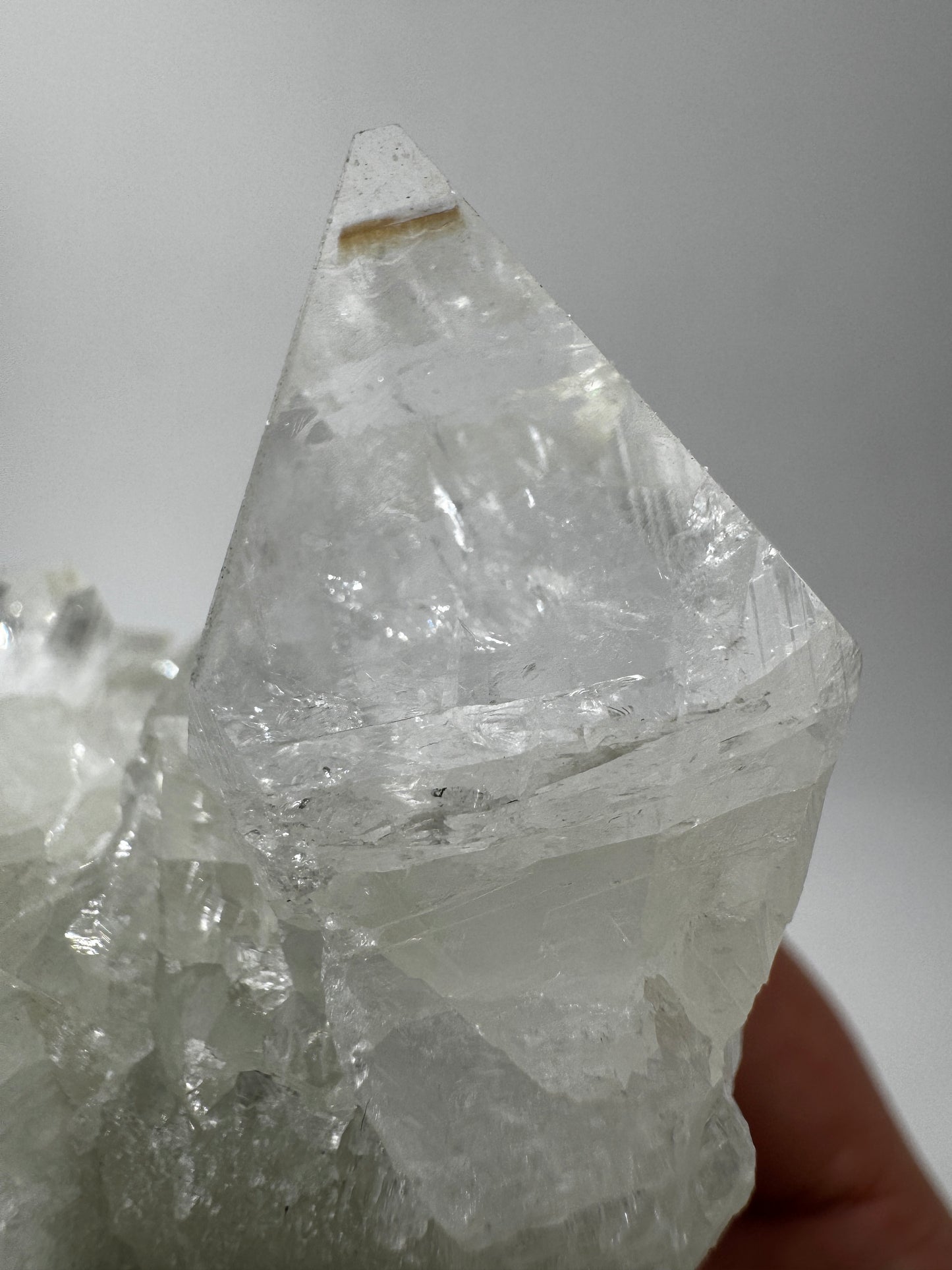 Apophyllit AR66 aus Indien mit glasklaren tetragonalen Prismen und Perlmuttglanz.
