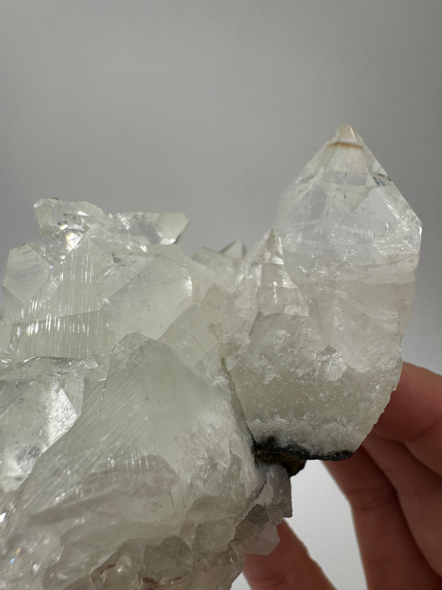 Apophyllit AR66 aus Indien mit glasklaren tetragonalen Prismen und Perlmuttglanz.
