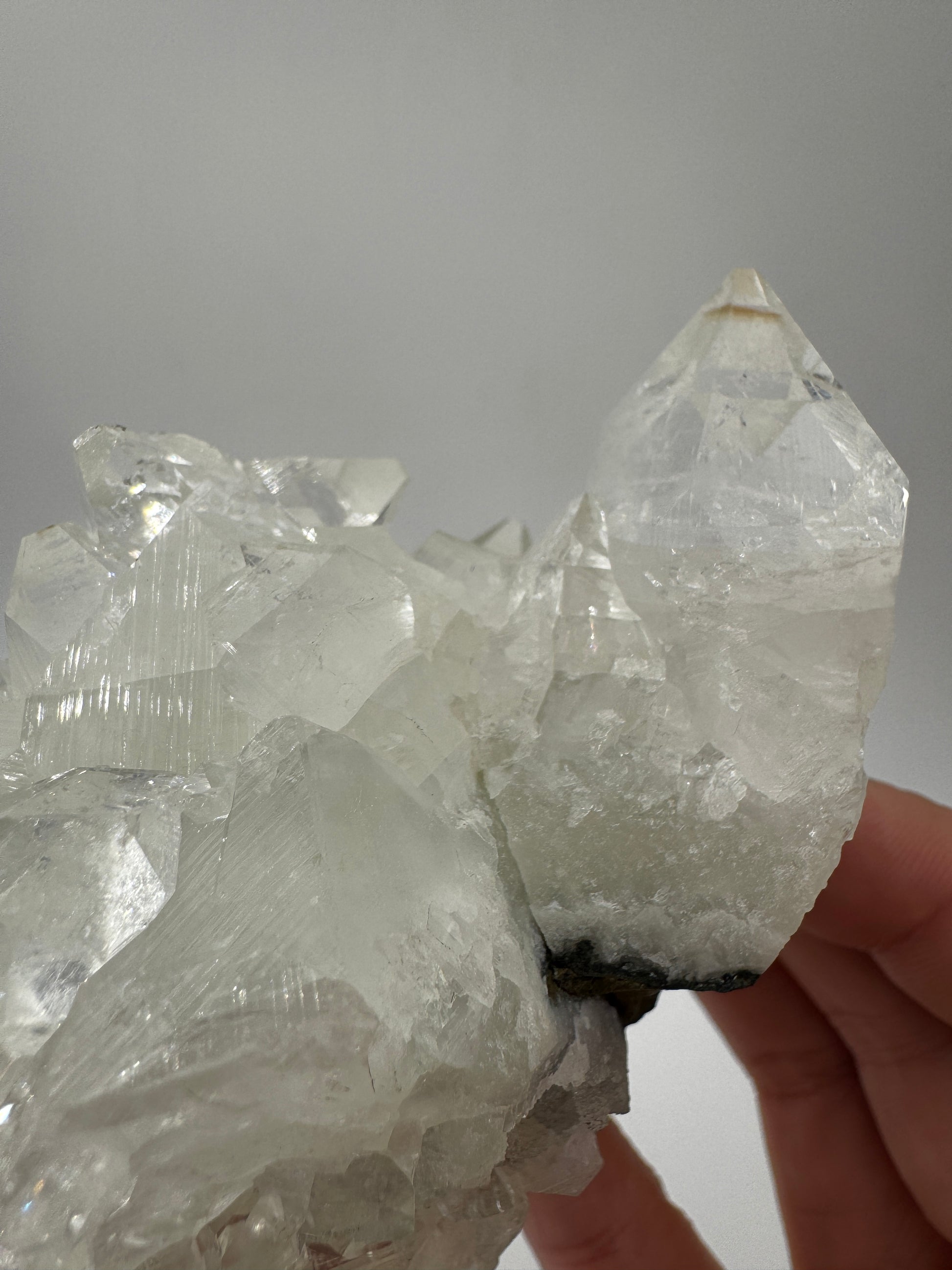 Apophyllit AR66 aus Indien mit glasklaren tetragonalen Prismen und Perlmuttglanz.