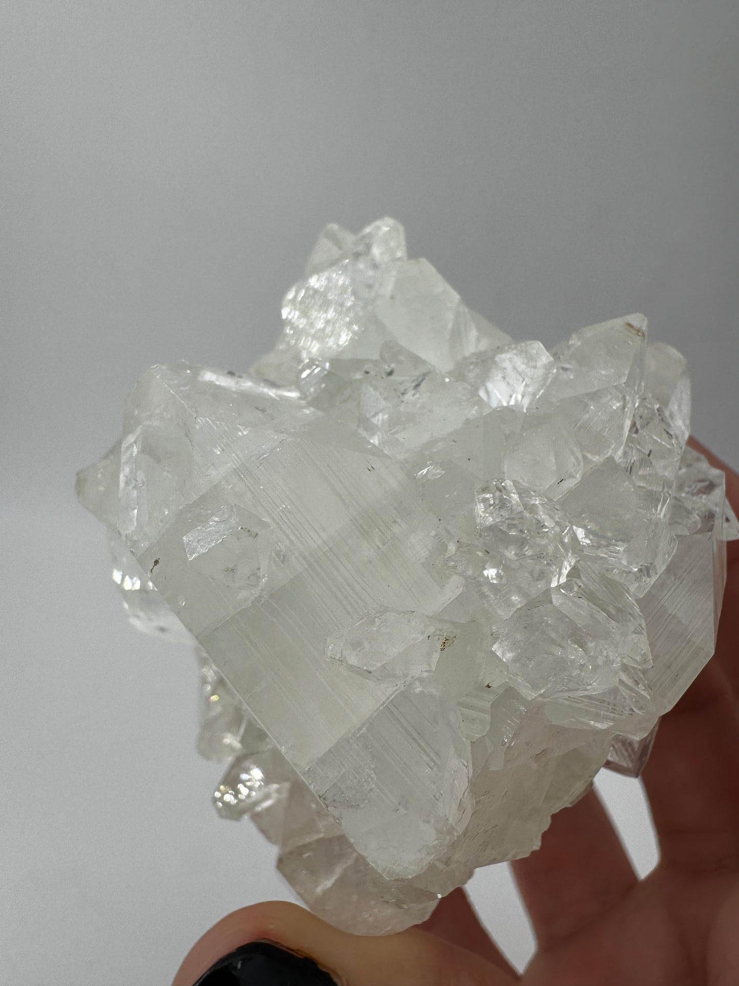 Apophyllit AR66 aus Indien mit glasklaren tetragonalen Prismen und Perlmuttglanz.