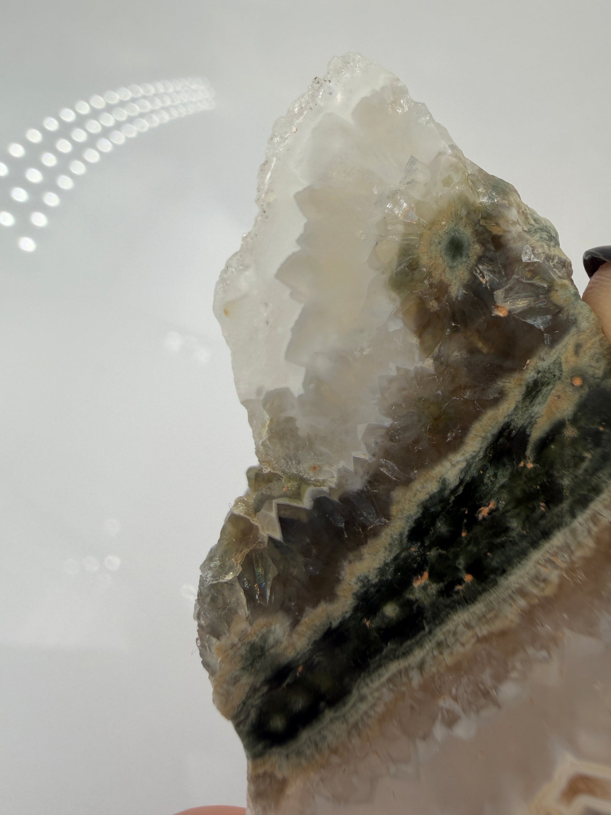 Polierte Platte aus sphärolitischem Chalcedon mit sichtbaren, kreisförmigen Mineral-Strukturen.