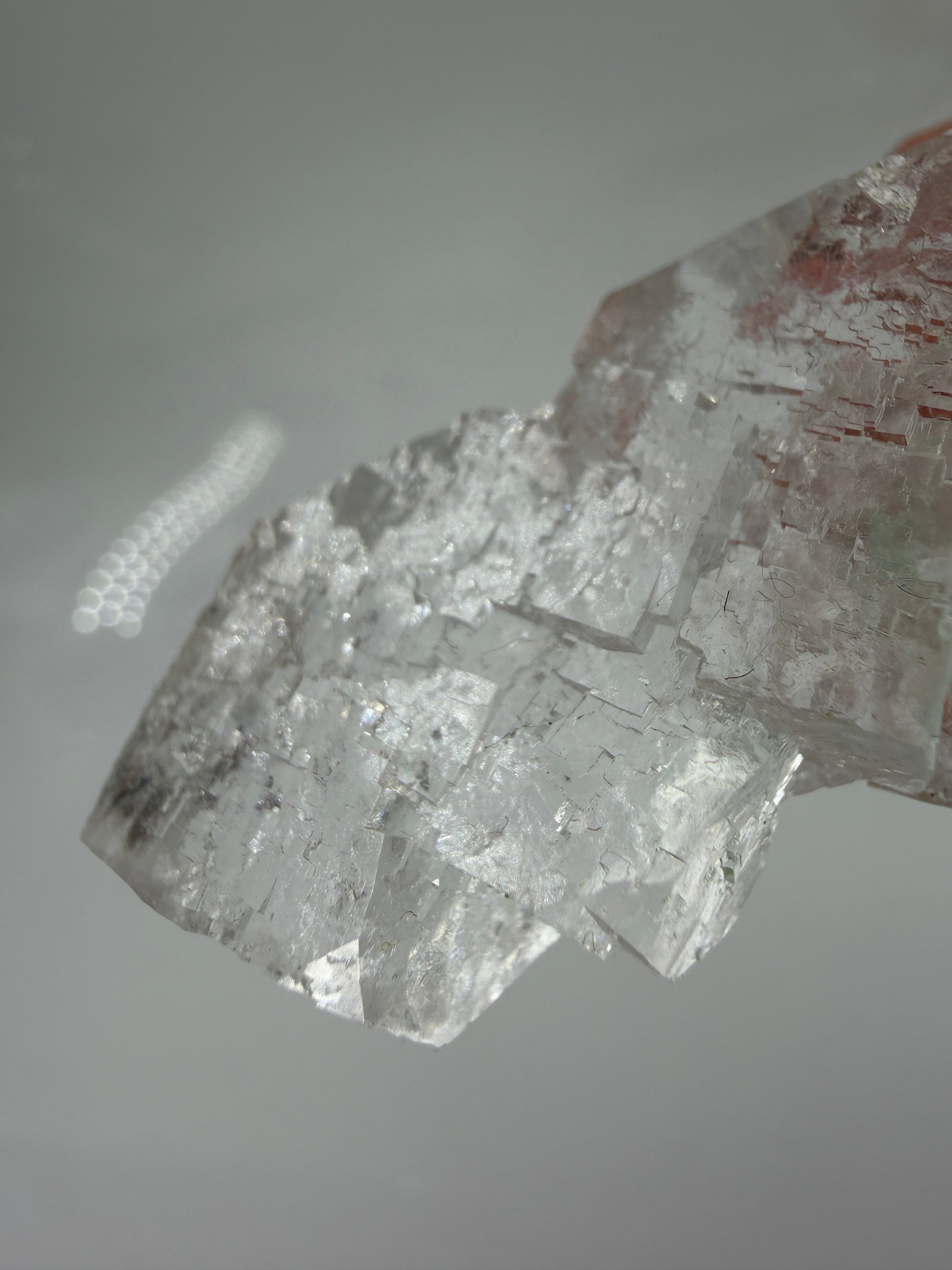Ein glasklarer, kubischer Halit-Kristall aus der Rudna Mine mit scharfkantigen Facetten und hoher Lichtbrechung.