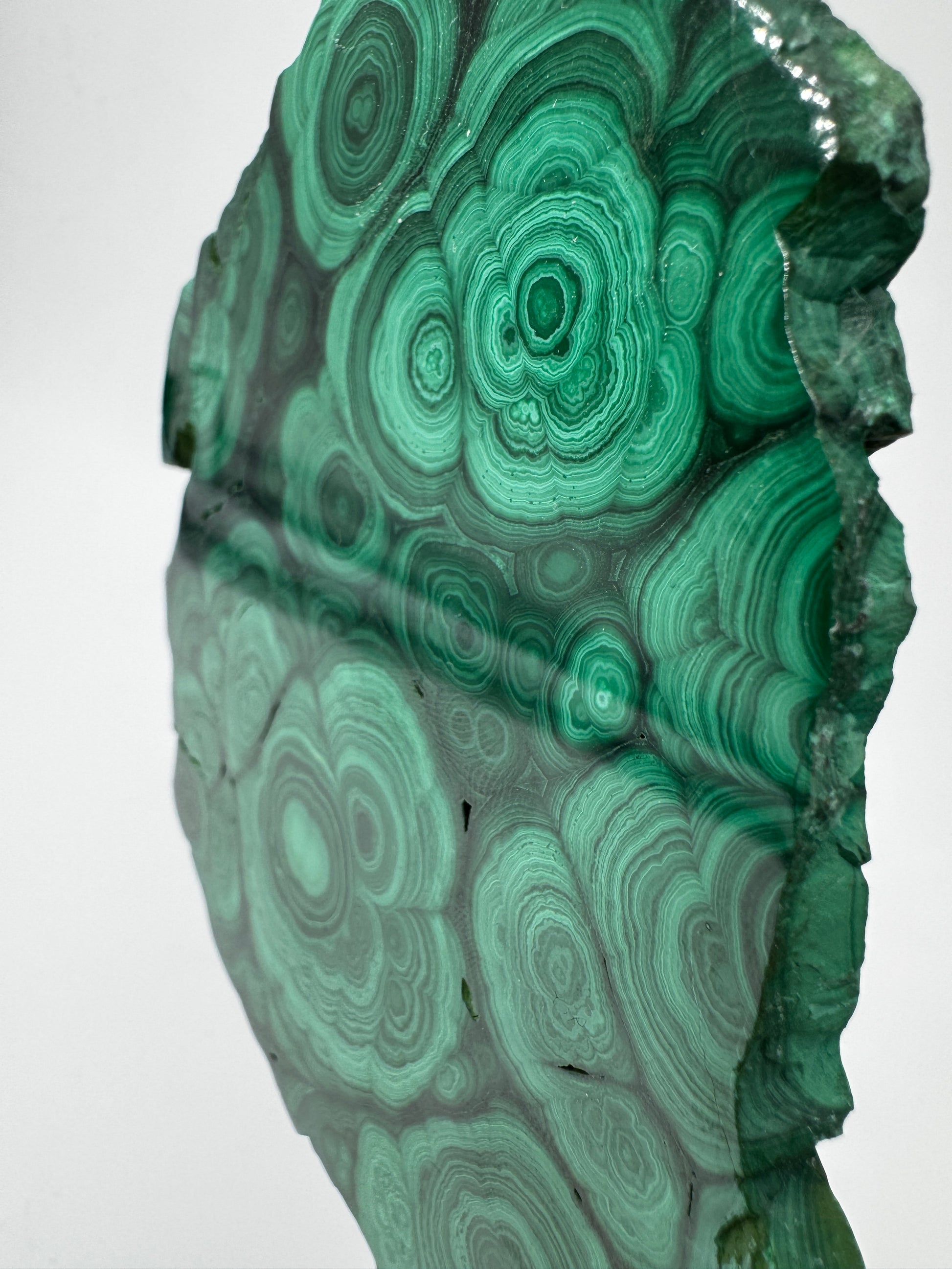 Beidseitig polierter Malachit-Anschliff mit konzentrischen grünen Bändern, 12 × 8 × 0,6 cm, natürliche Seiten.