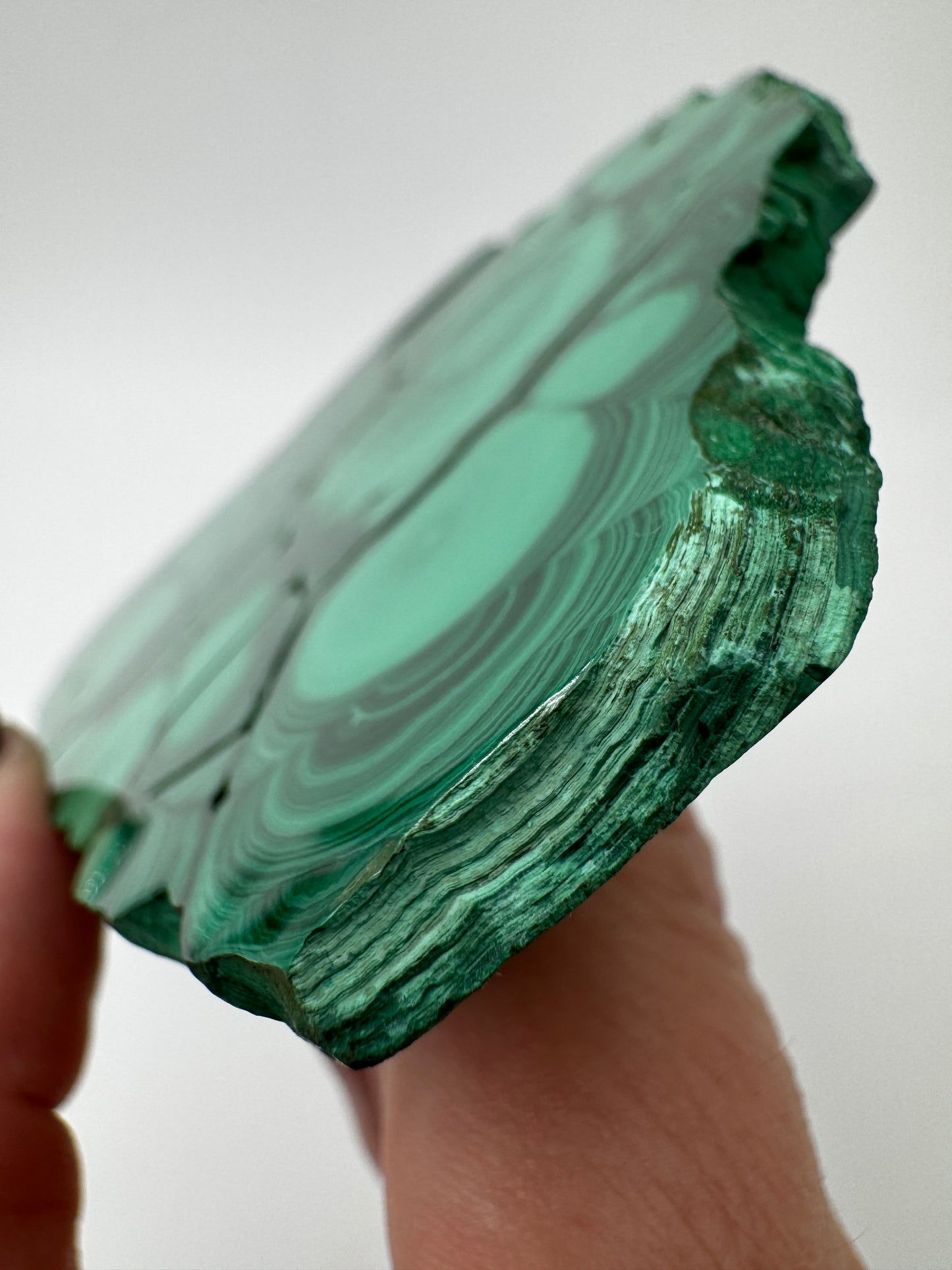 Beidseitig polierter Malachit-Anschliff mit konzentrischen grünen Bändern, 12 × 8 × 0,6 cm, natürliche Seiten.