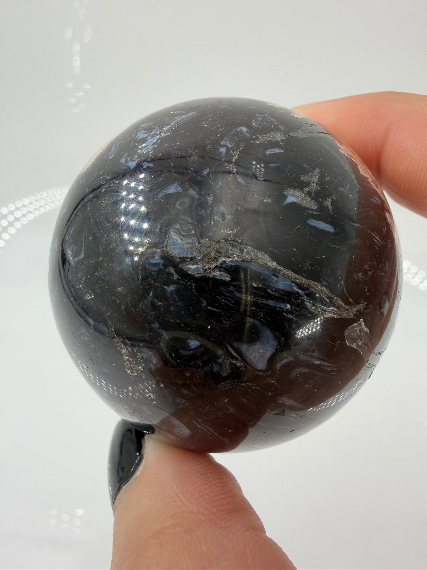 Eine  Kugel aus versteinerter Palmenwurzel mit charakteristischem Strukturmuster in wärmenden Erd- und Beigetönen.