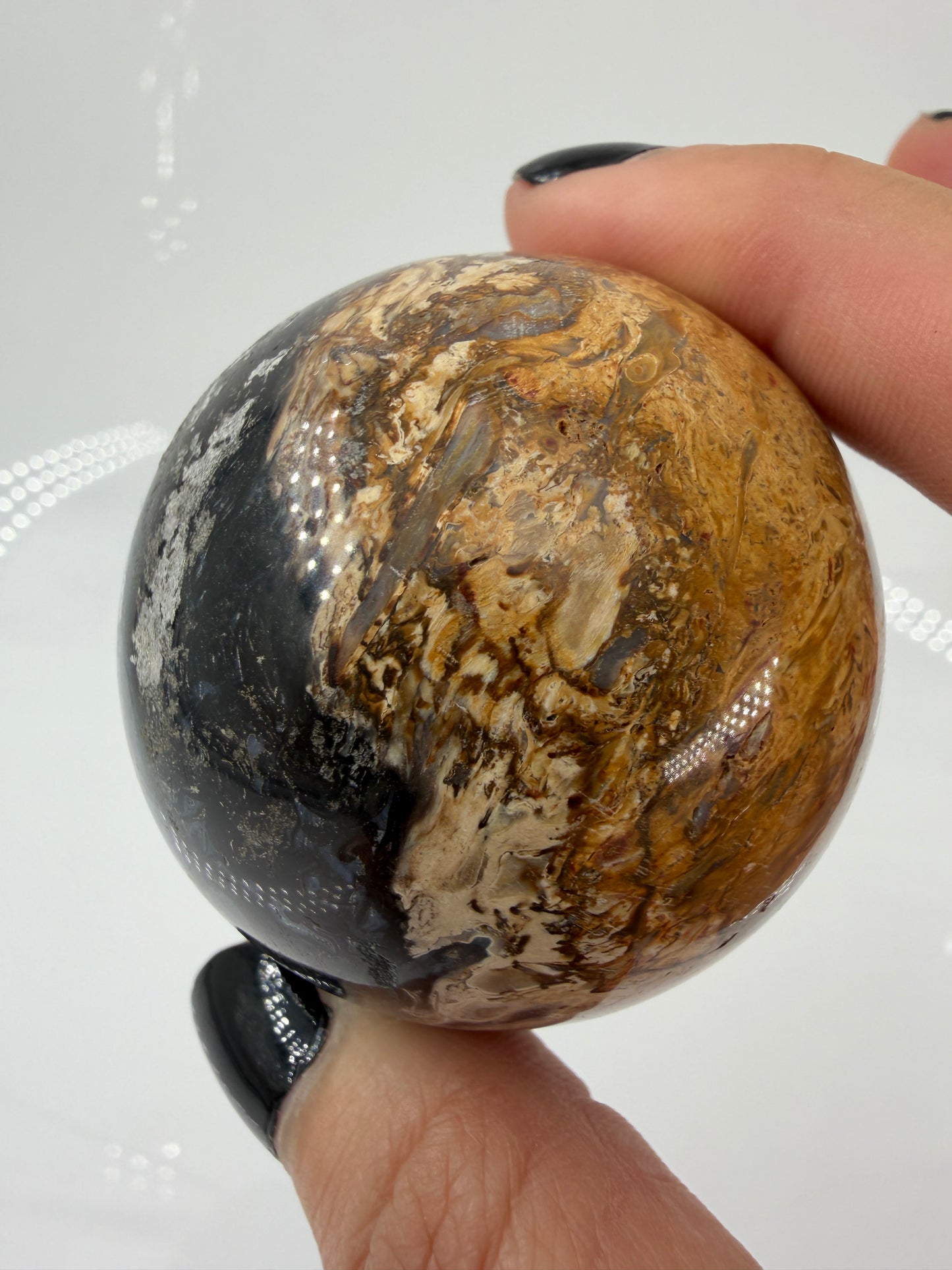 Eine  Kugel aus versteinerter Palmenwurzel mit charakteristischem Strukturmuster in wärmenden Erd- und Beigetönen.