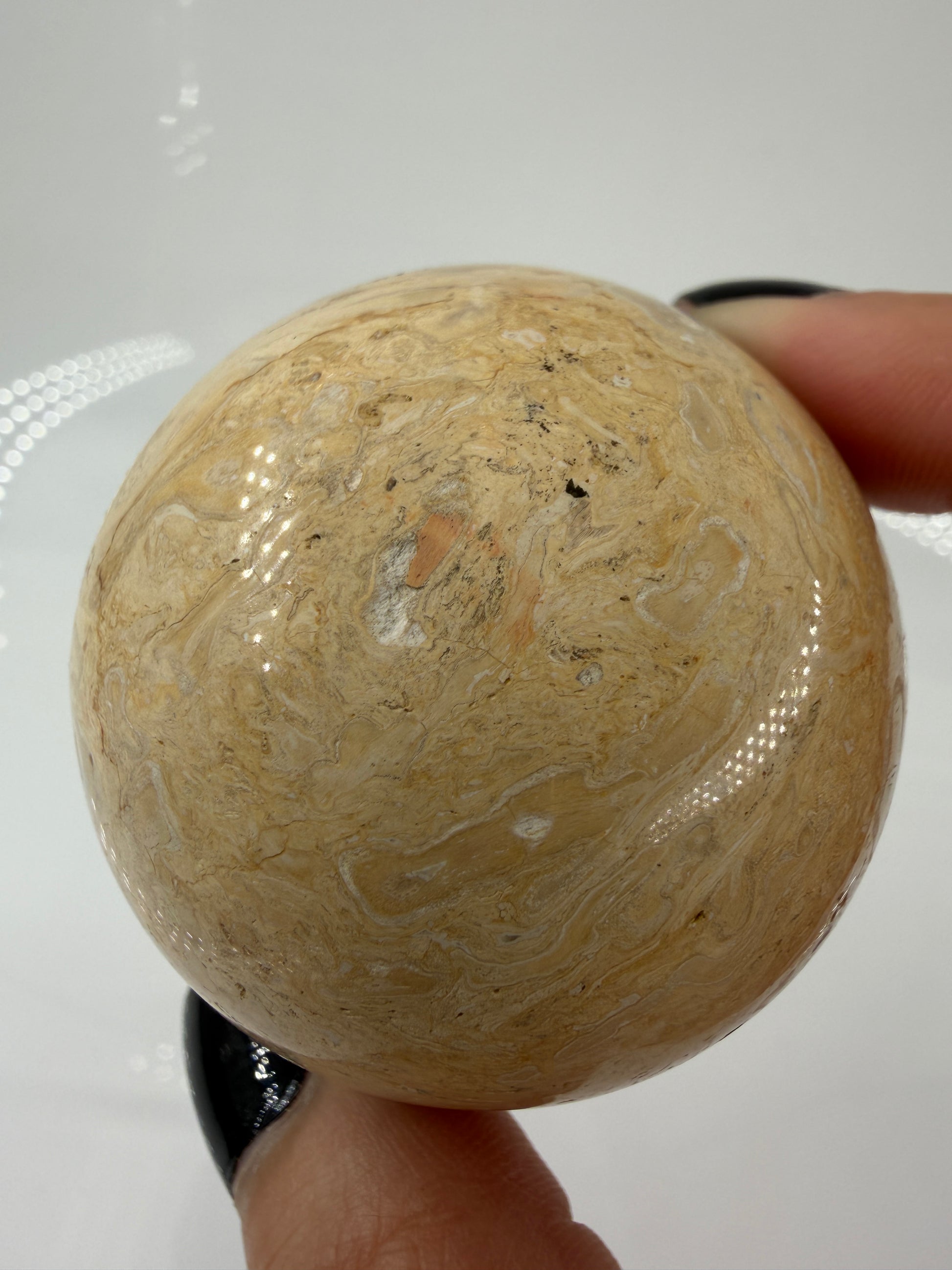 Eine Kugel aus versteinerter Palmenwurzel mit charakteristischem Strukturmuster in wärmenden Erd- und Beigetönen.